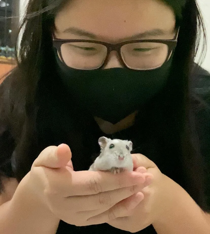 Siewmai (Adopted)