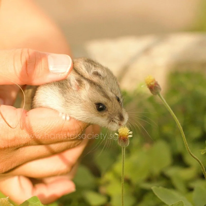 WhatsApp Image 2021-05-19 at 10.06.04 PM.jpeg