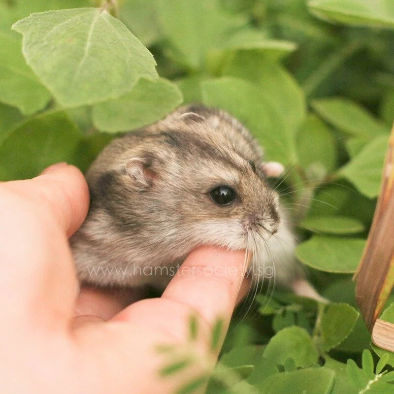 WhatsApp Image 2021-05-19 at 10.07.07 PM.jpeg