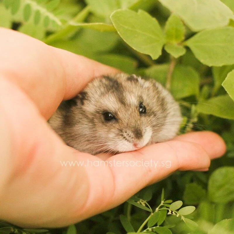 WhatsApp Image 2021-05-19 at 10.09.58 PM.jpeg