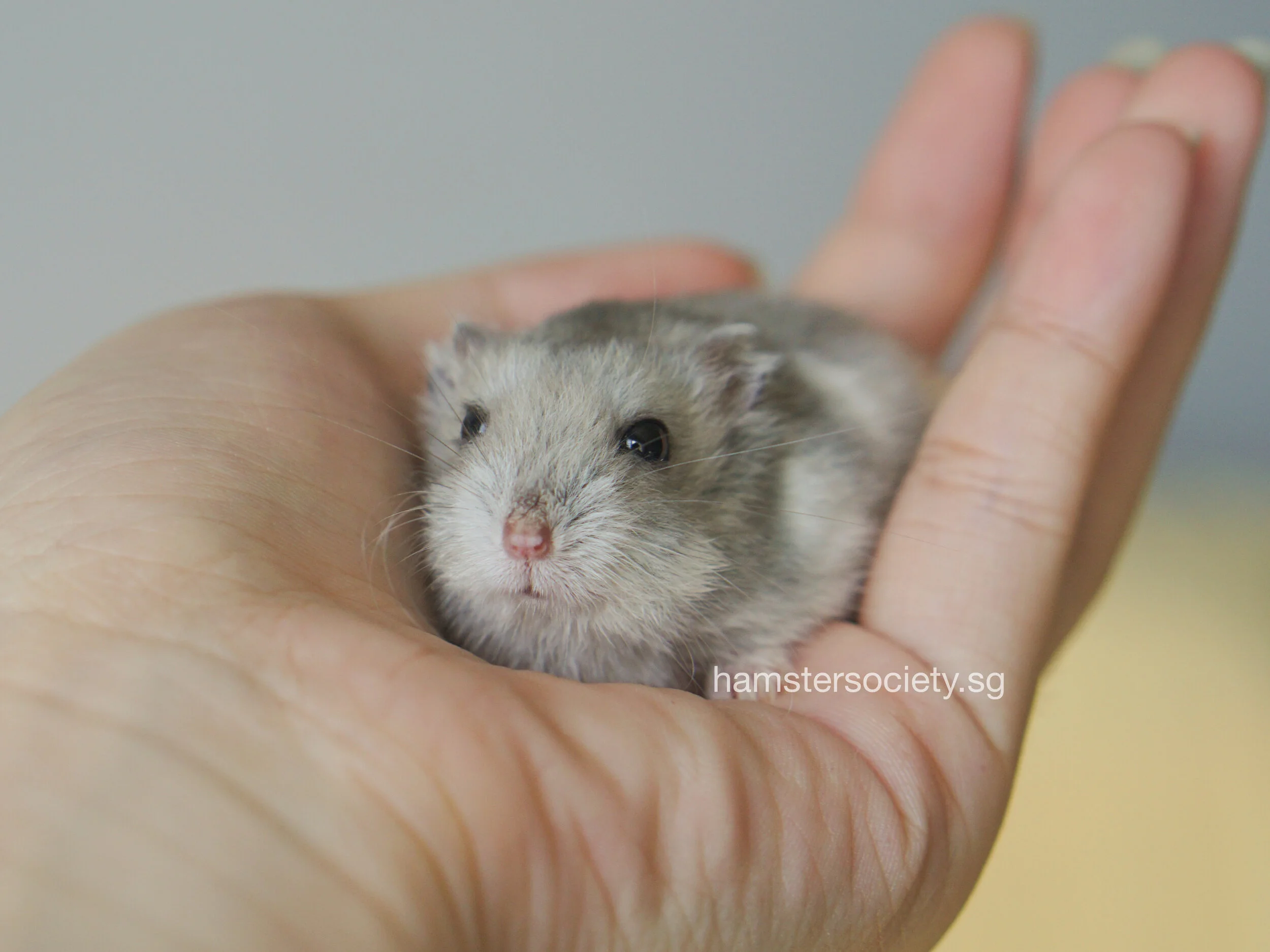 (Cover) DSC05726.JPG