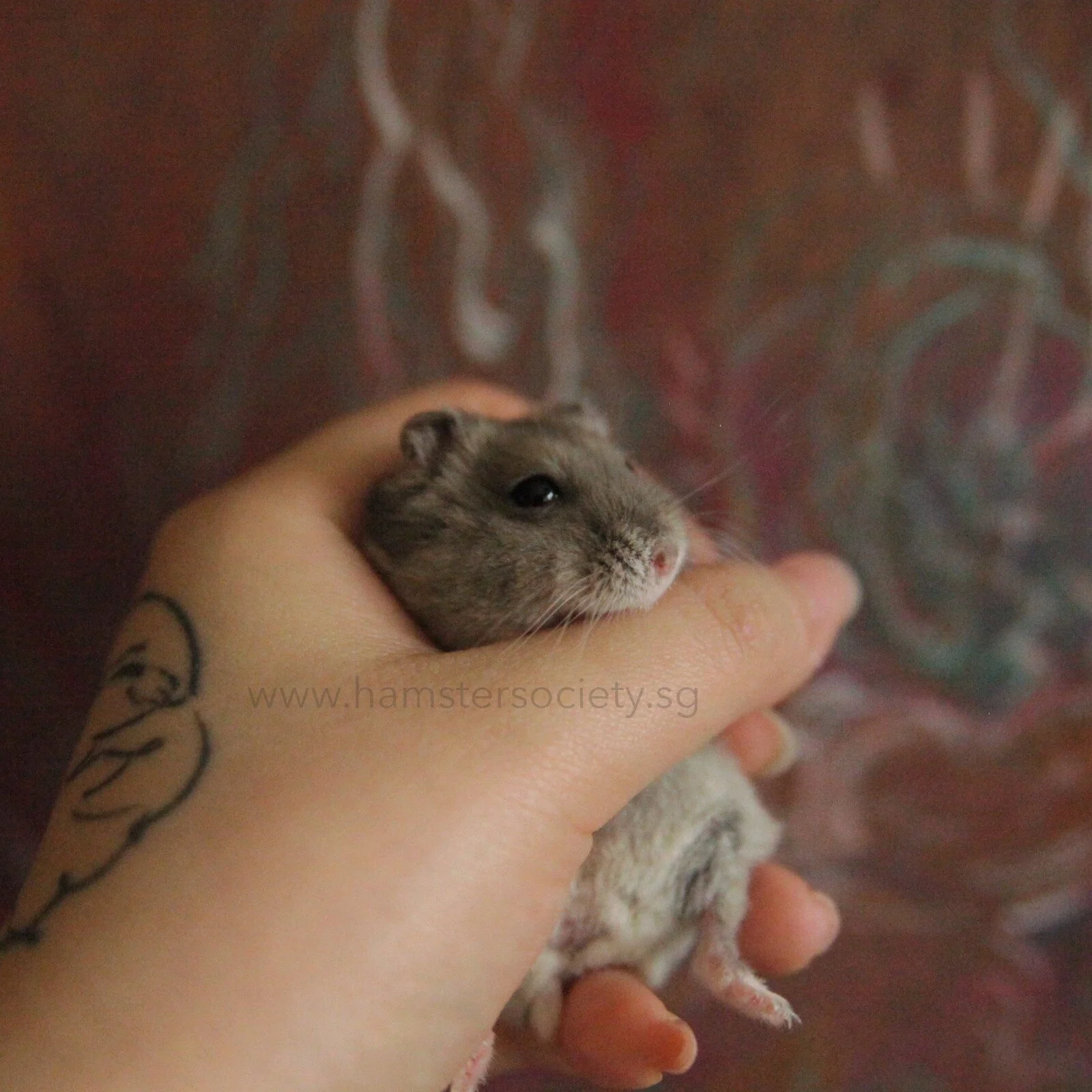 WhatsApp Image 2021-07-31 at 1.49.16 PM.jpeg