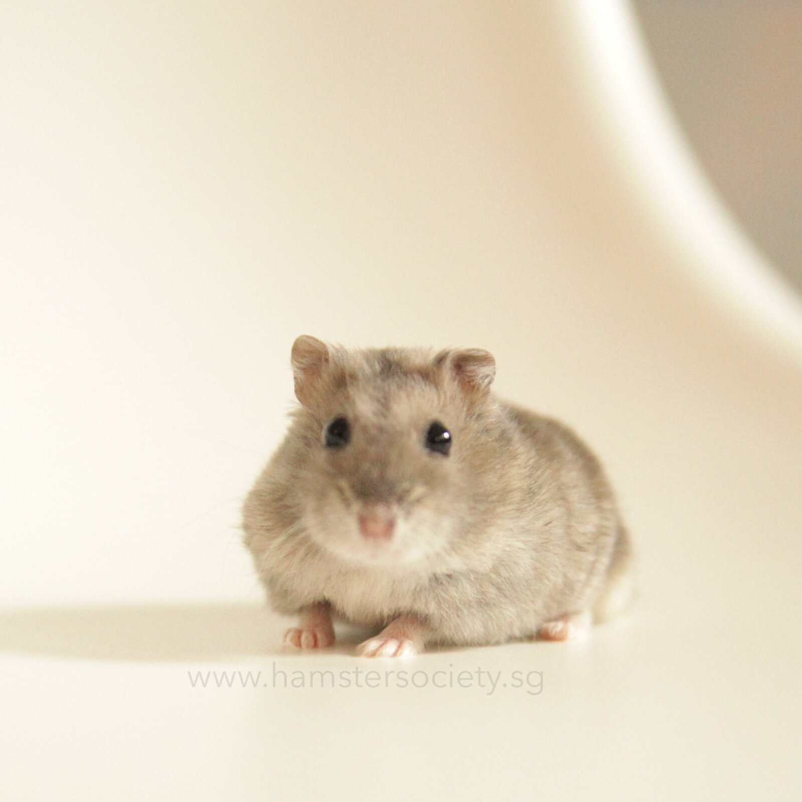 WhatsApp Image 2021-07-31 at 1.49.17 PM-2.jpeg