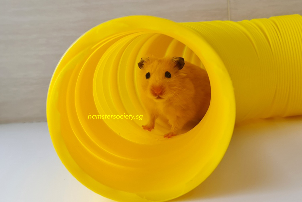 20210829_132936.png