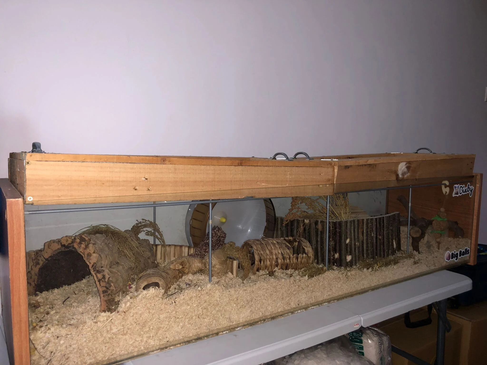 appropriate hamster cage
