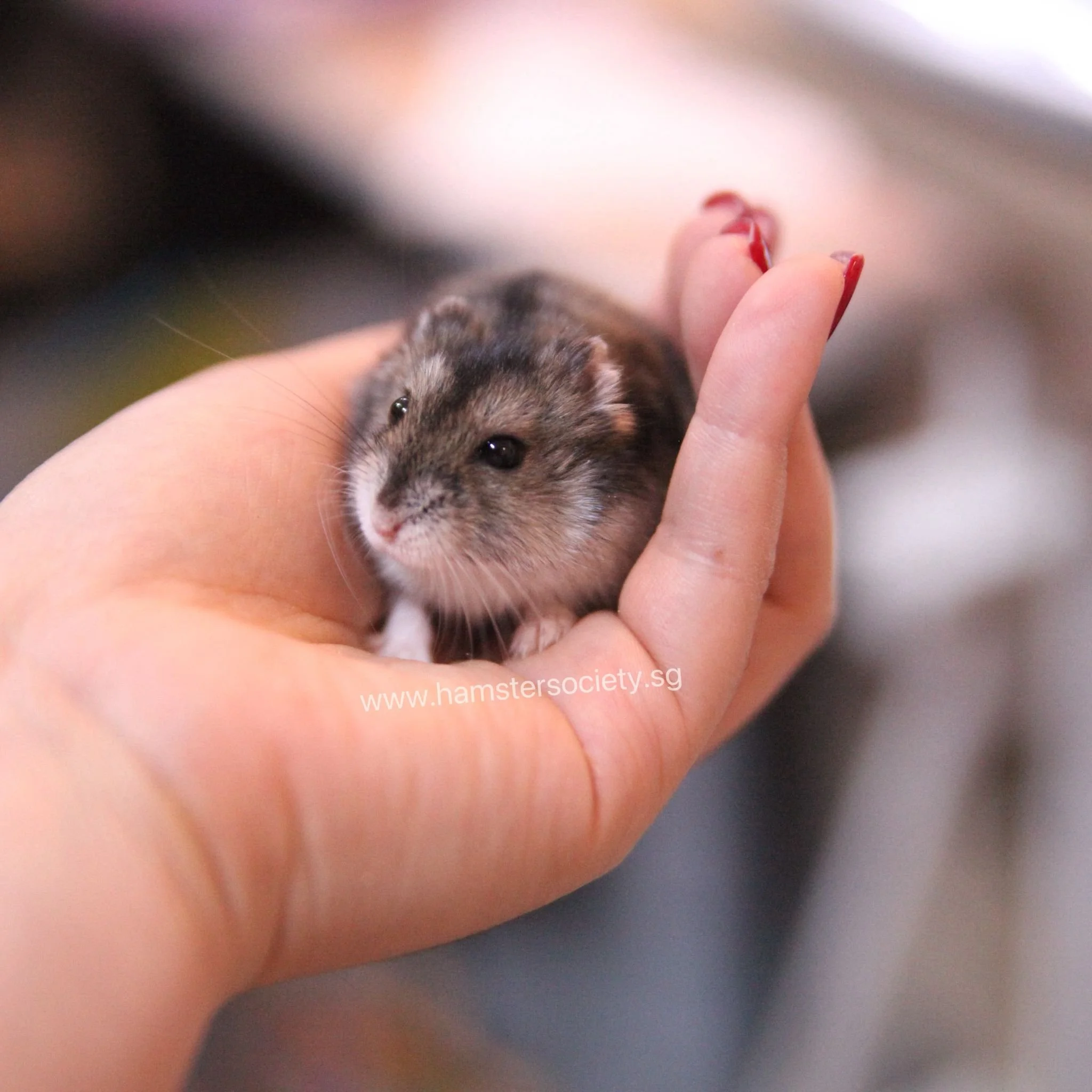 WhatsApp Image 2025-08-03 at 10.58.59 PM(1).jpeg