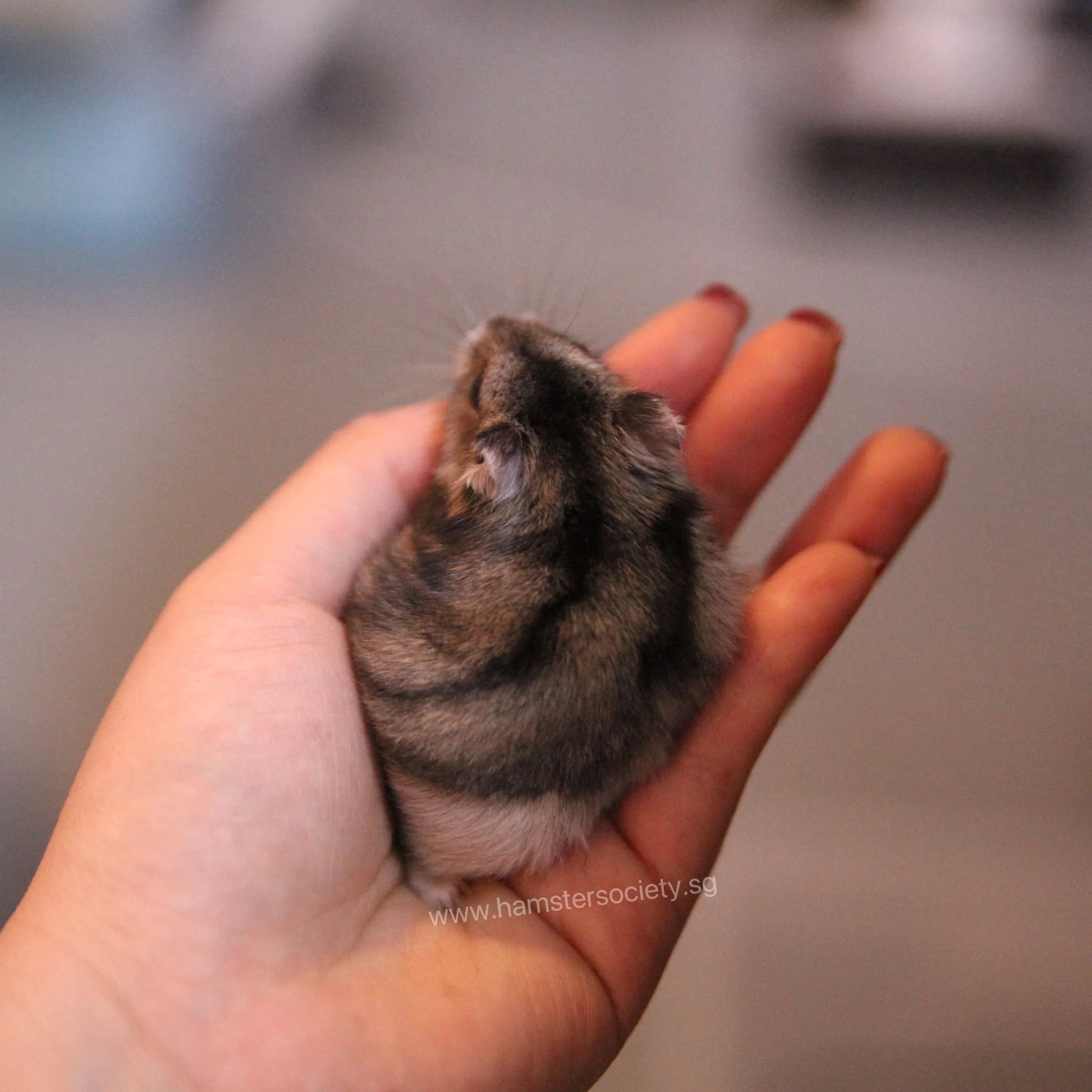 WhatsApp Image 2025-08-03 at 10.58.58 PM(2).jpeg