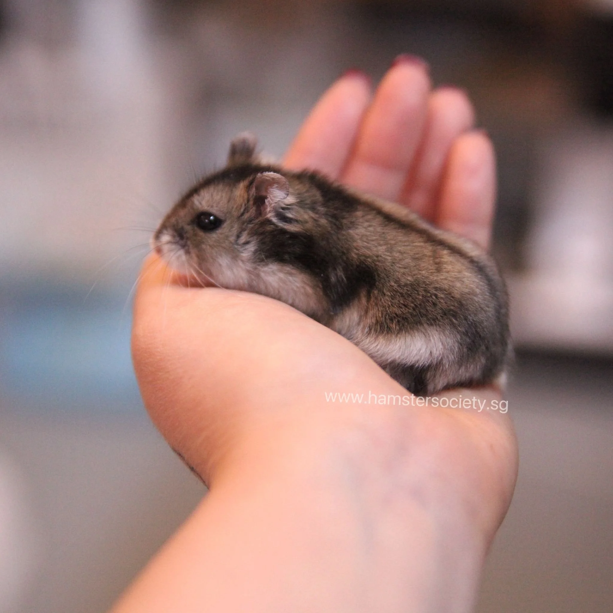 WhatsApp Image 2025-08-03 at 10.58.58 PM(1).jpeg