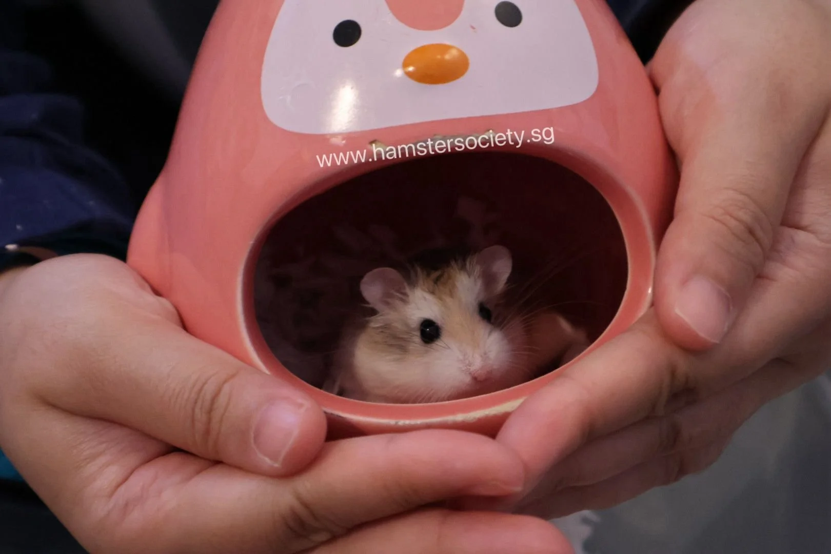 WhatsApp Image 2025-08-03 at 23.29.36(1).jpeg