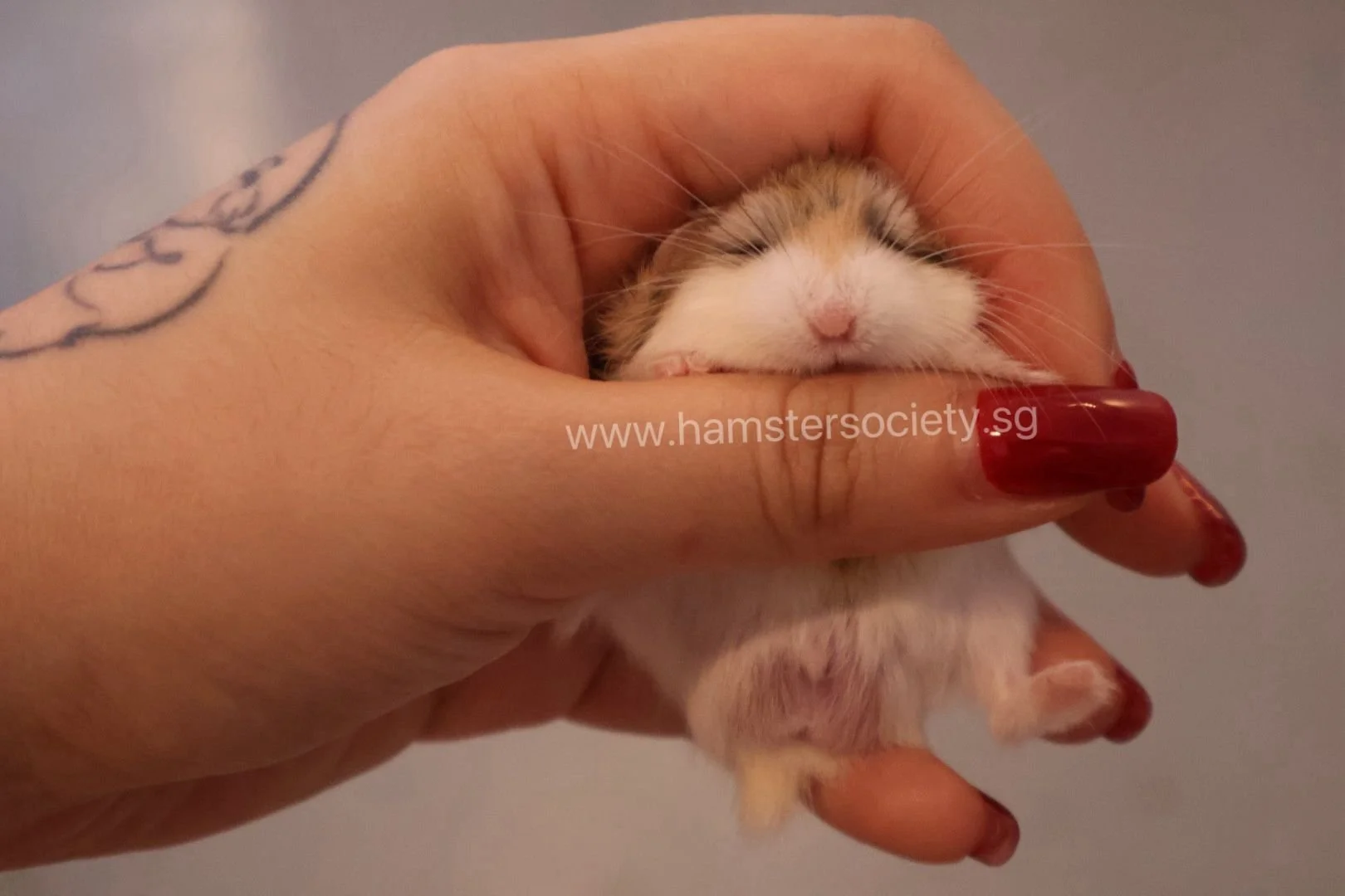 WhatsApp Image 2025-08-03 at 23.29.36(2).jpeg