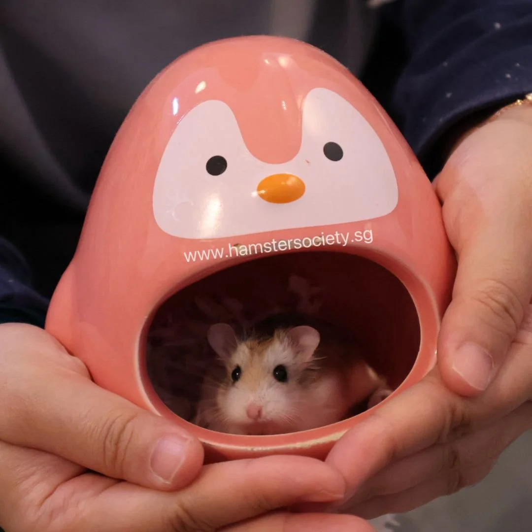 WhatsApp Image 2025-08-03 at 23.29.36.jpeg