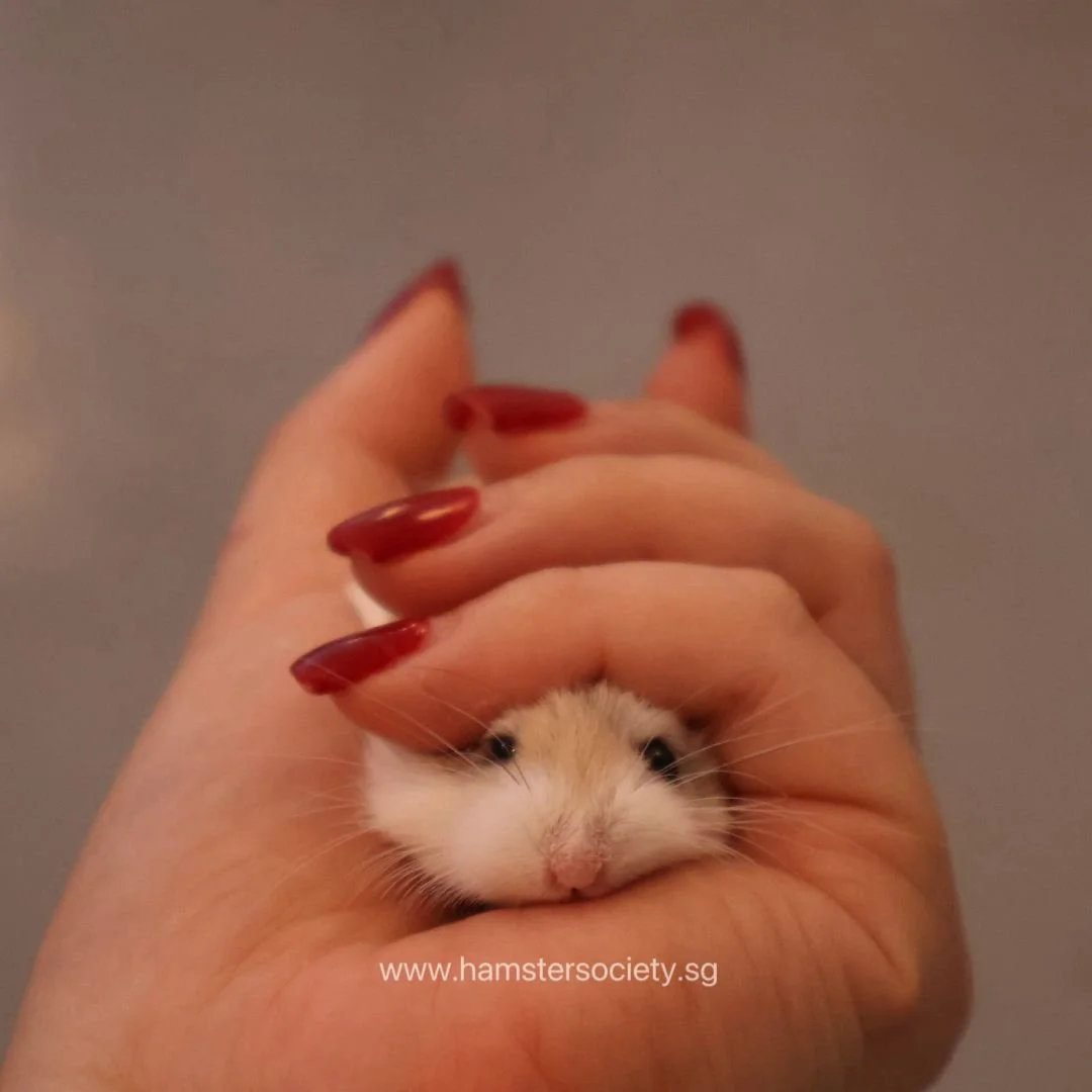 WhatsApp Image 2025-08-03 at 23.29.37.jpeg