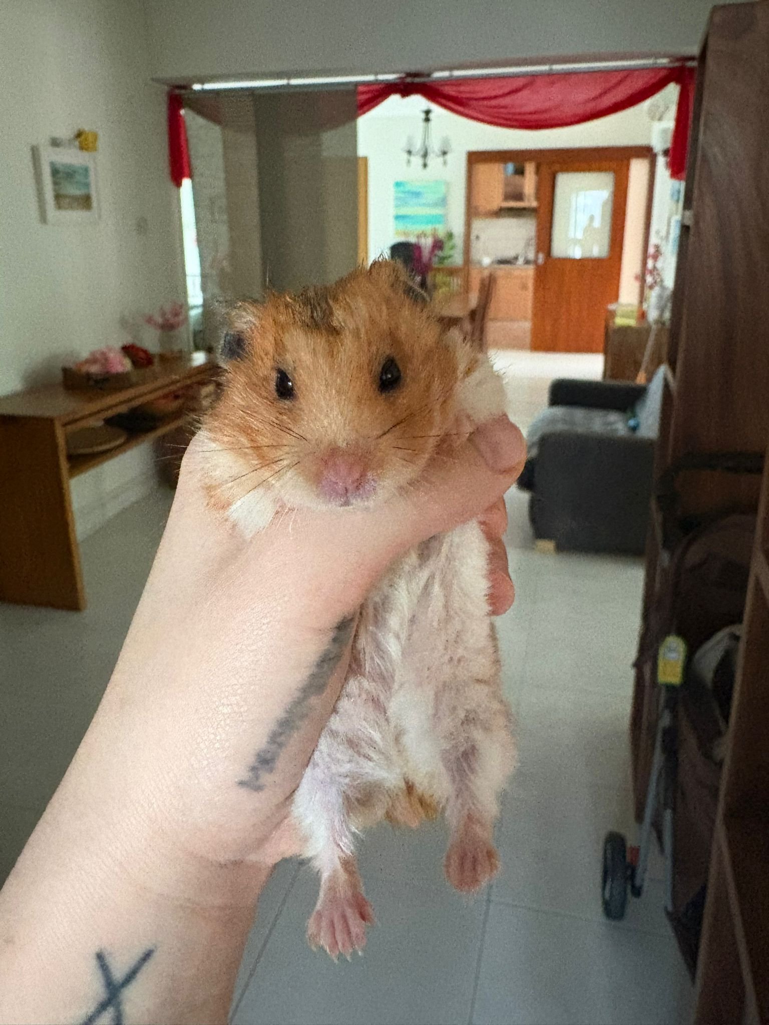 WhatsApp Image 2026-03-03 at 6.30.19 PM.jpeg