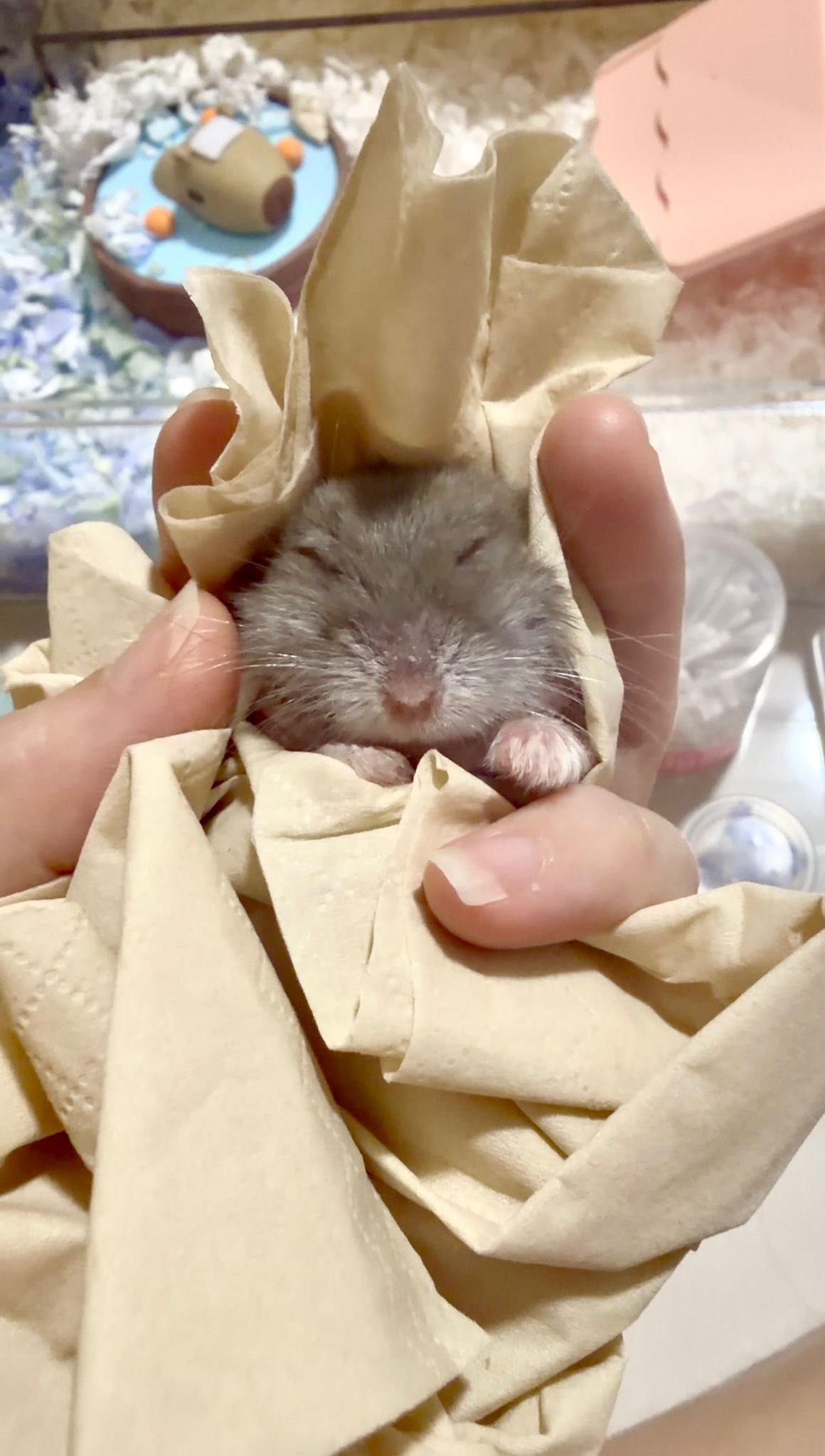 WhatsApp Image 2026-03-03 at 6.40.25 PM.jpeg