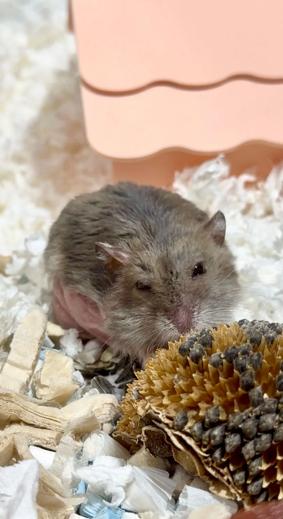 WhatsApp Image 2026-03-03 at 6.38.40 PM.jpeg