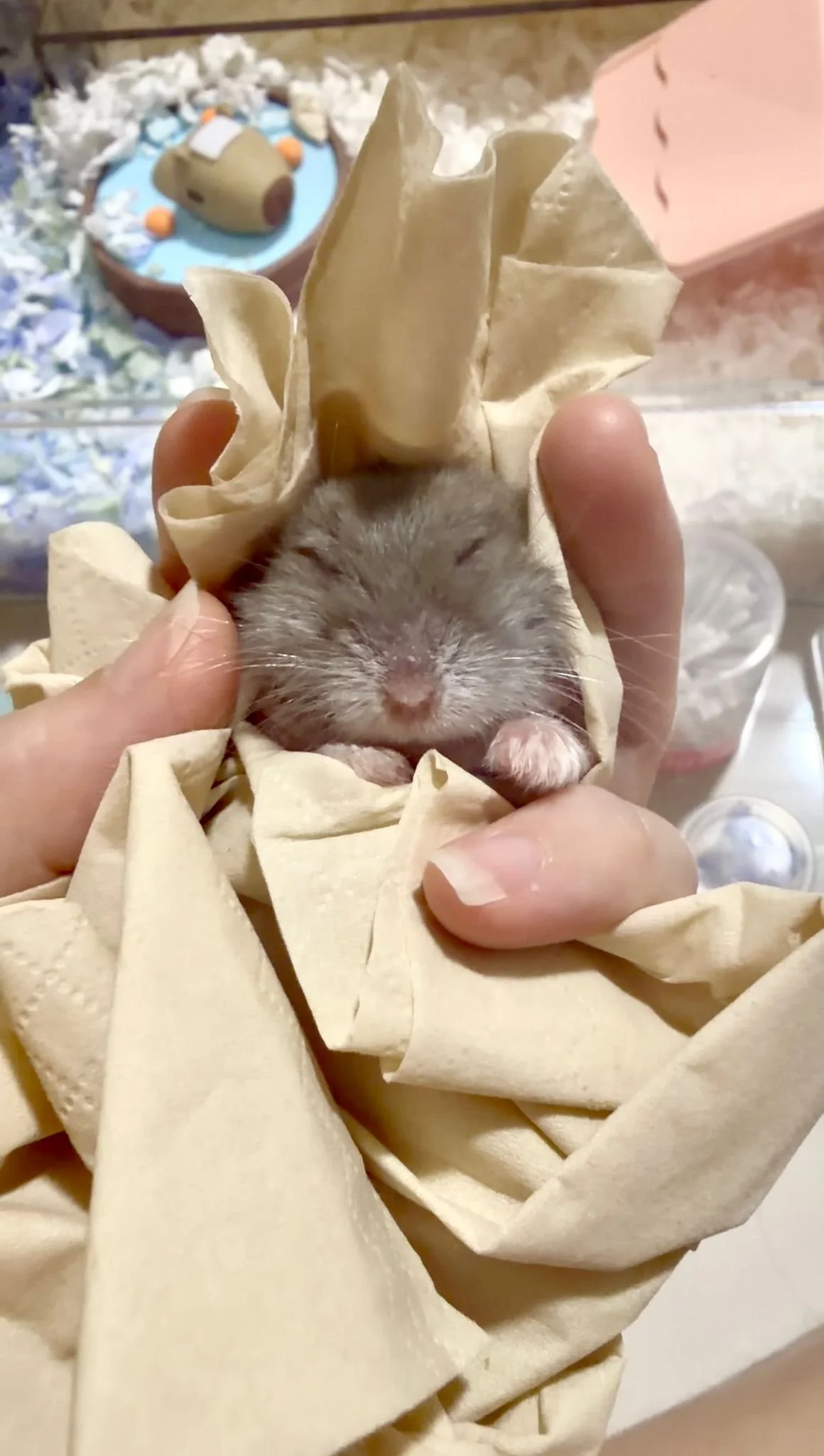 Mc Toot Toot (Medical Care)