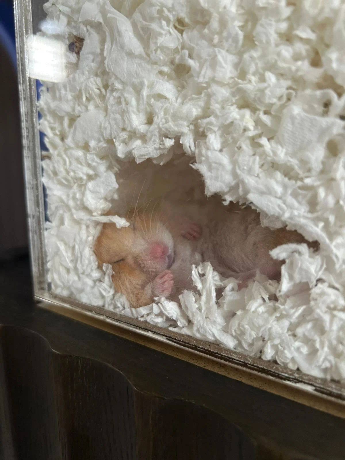 WhatsApp Image 2026-03-03 at 9.55.55 PM.jpeg