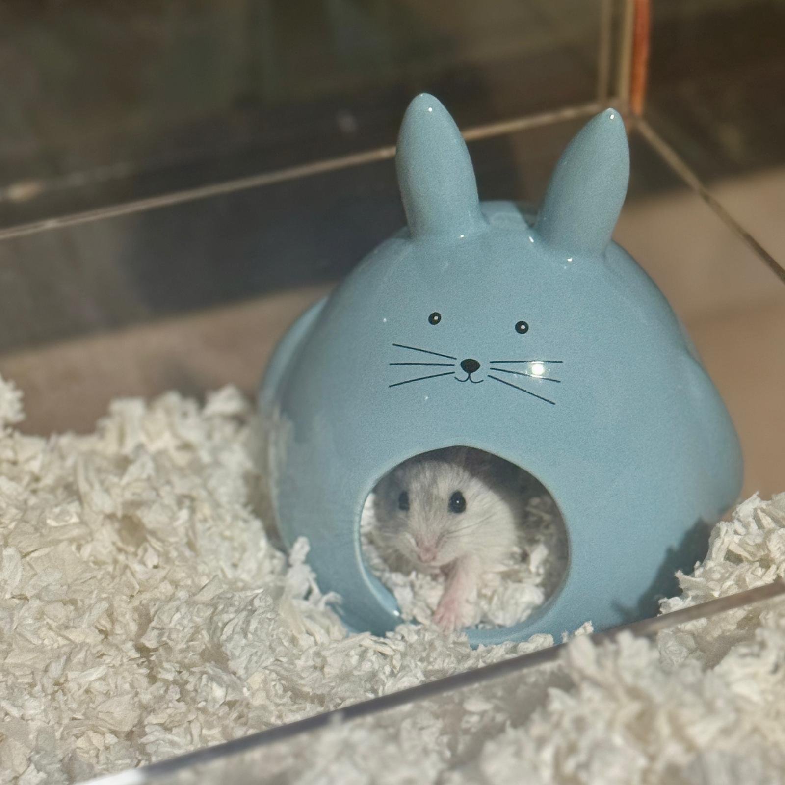 WhatsApp Image 2026-03-10 at 1.59.39 AM.jpeg