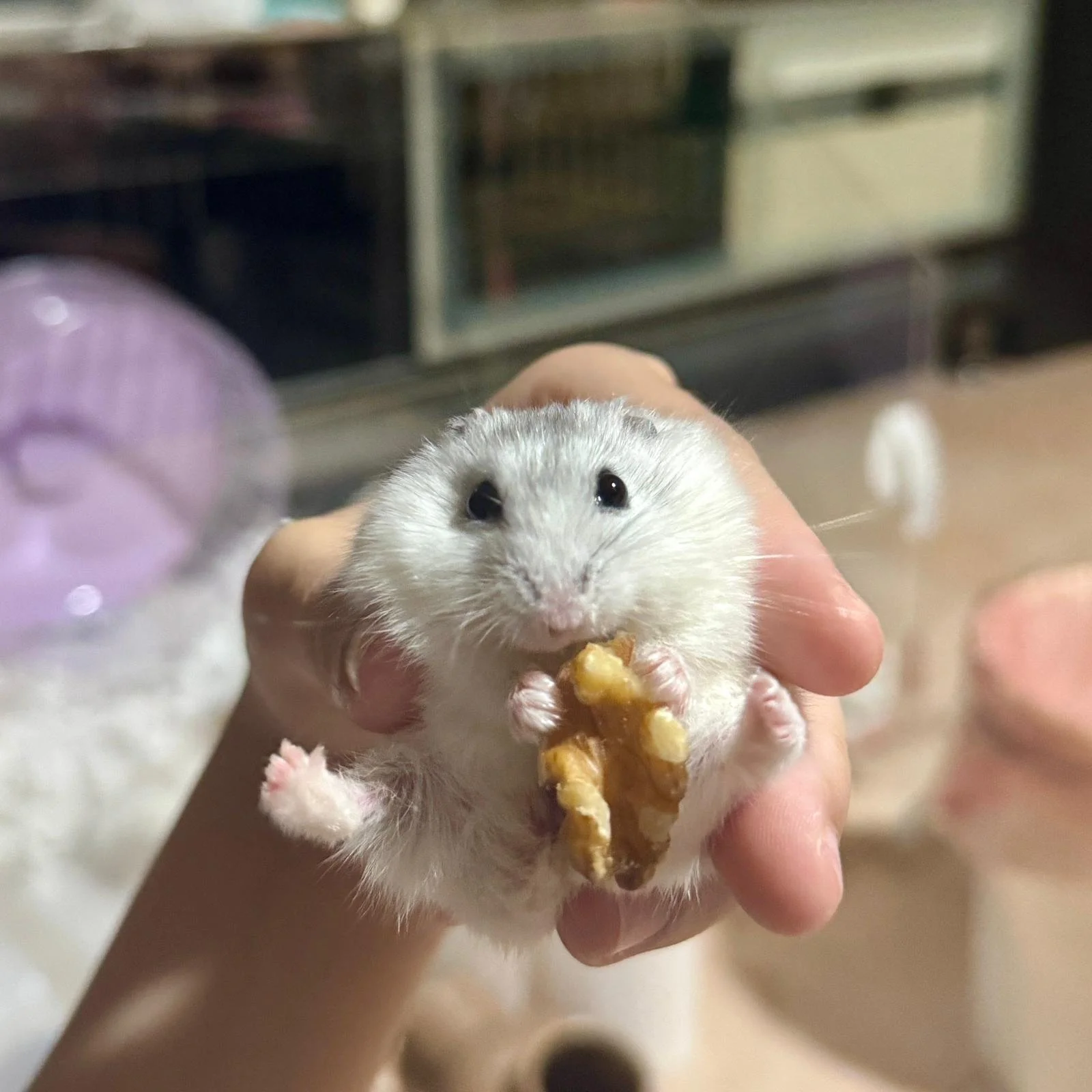 Happy (Medical Care)