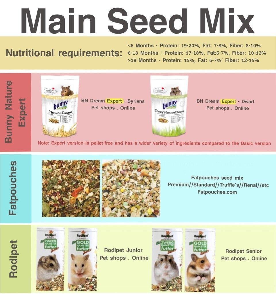 Syrian Hamster Shopping List Care Things You Need To Know About