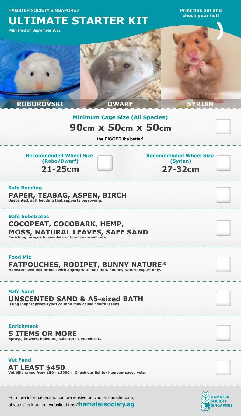 Syrian Hamster Care Keeping Dwarf Hamsters Campbell's Dwarf