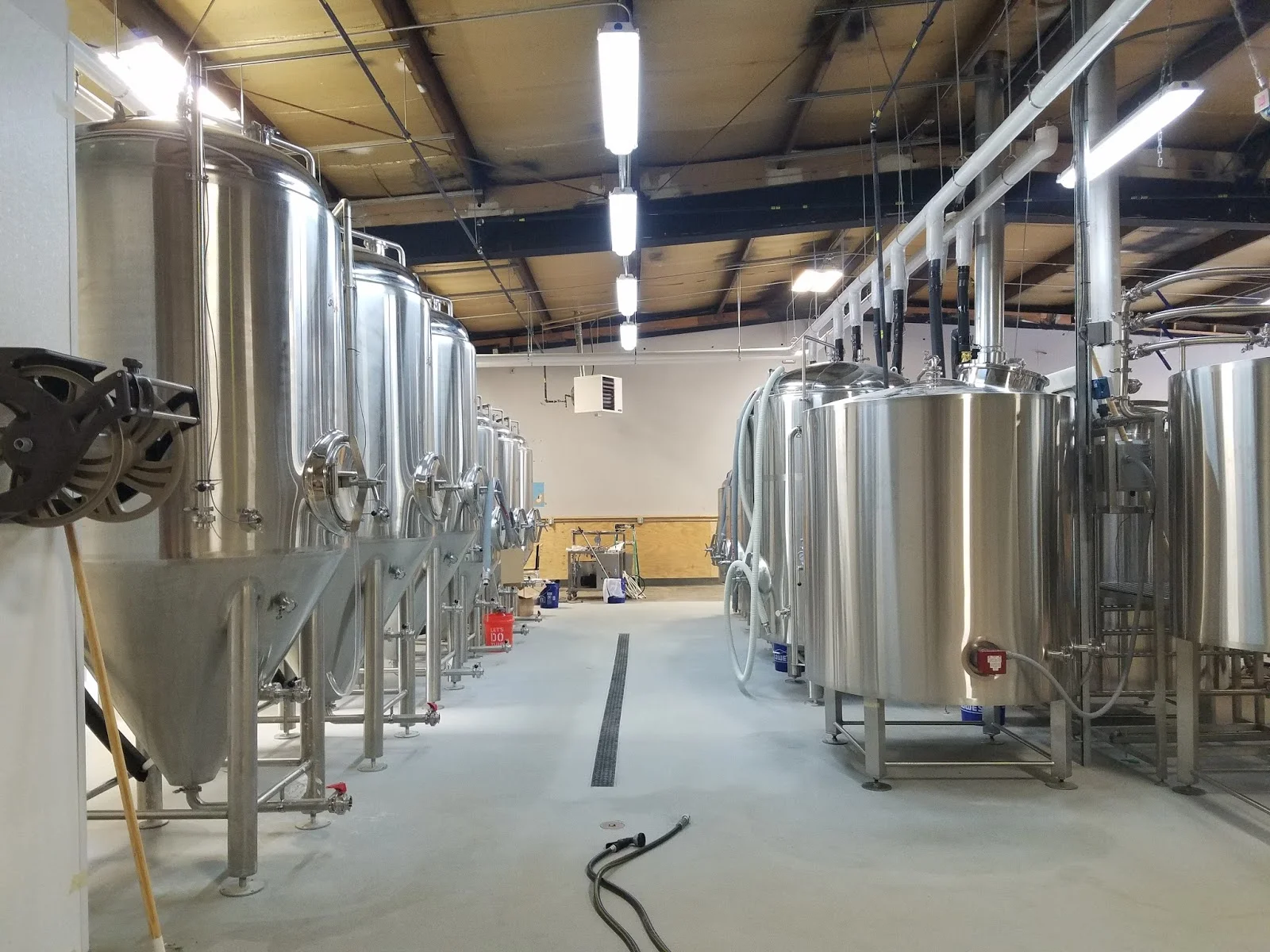 Funguys Brewing Company.jpg
