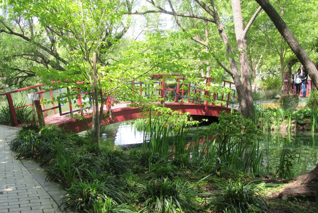 Jade Lake at Chateau Montelena.