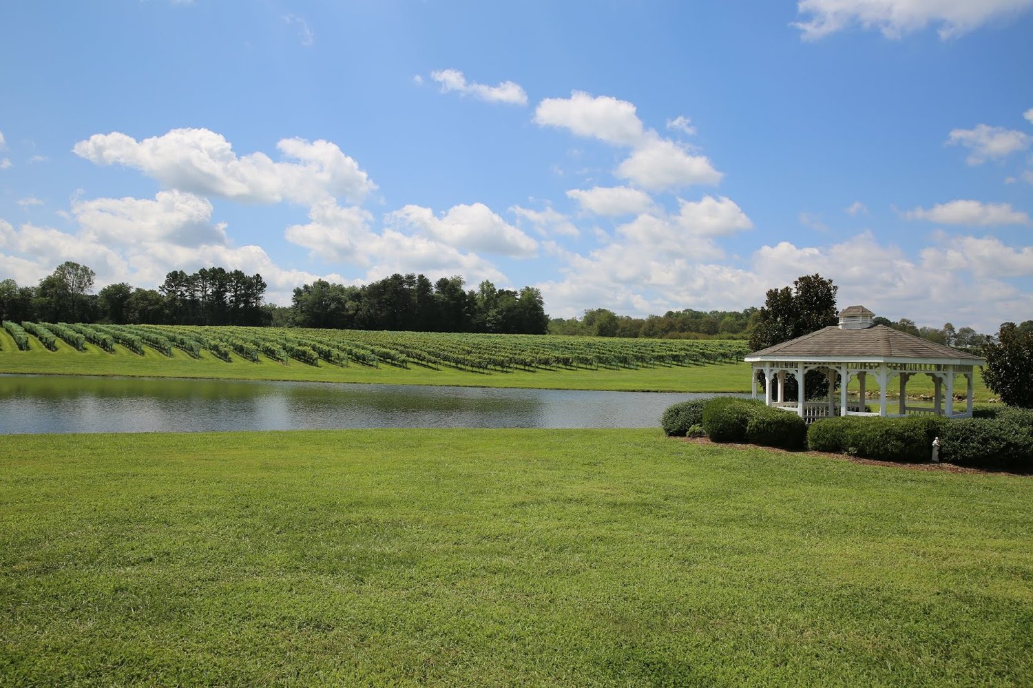 The 7 top views of North Carolina's Swan Creek wineries — Triangle ...