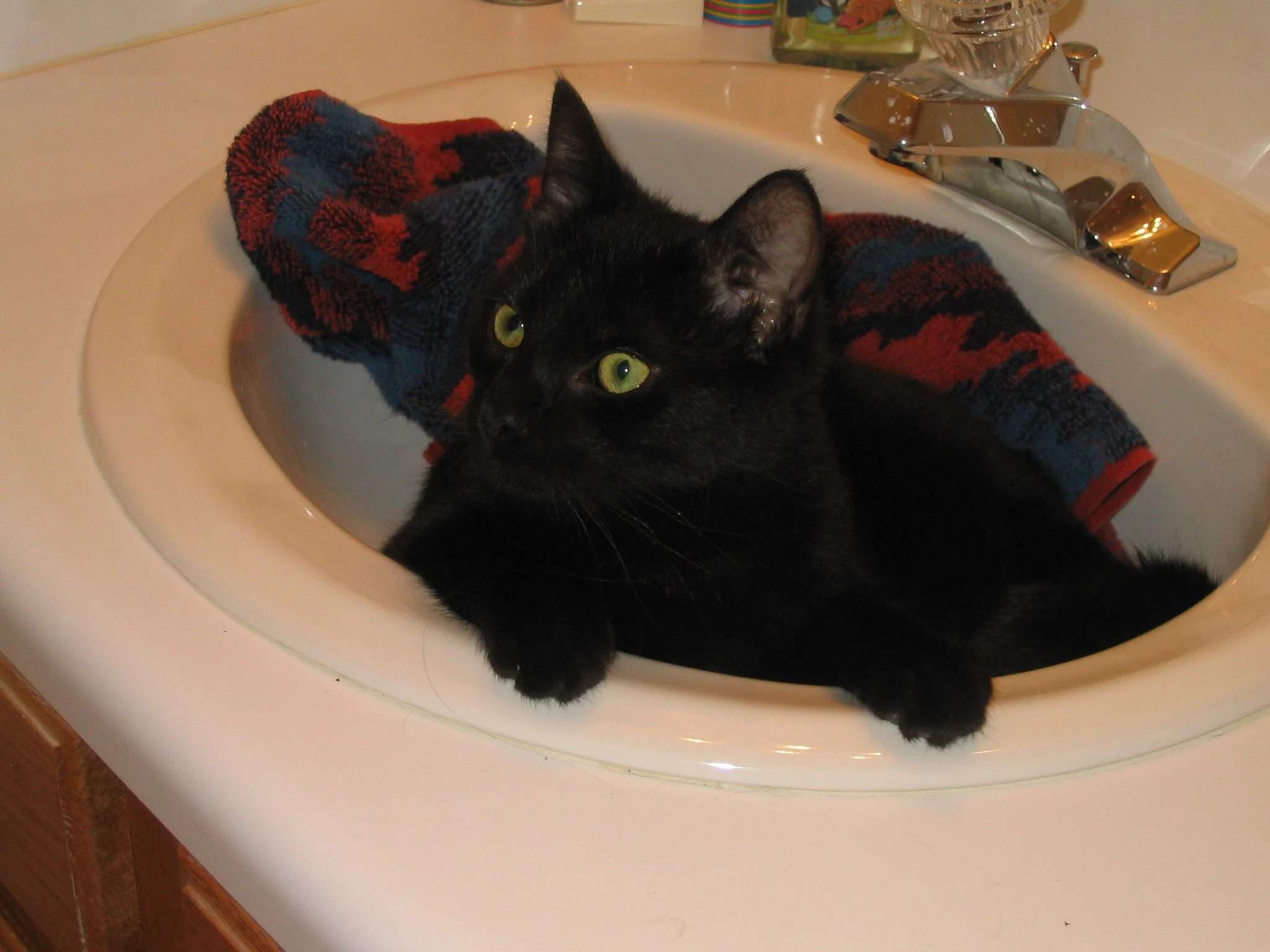 Hamilton’s first day home back in 2004