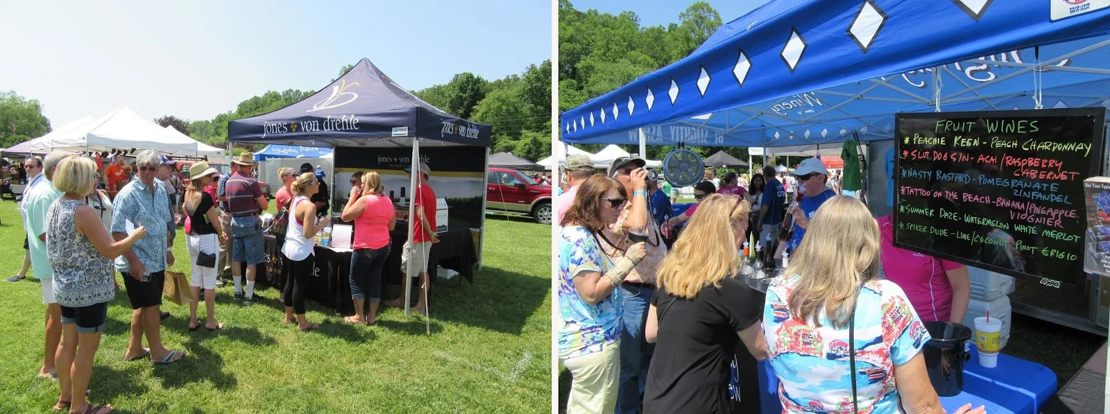 Lines formed early at the Yadkin Valley Wine Festival in Elkin.