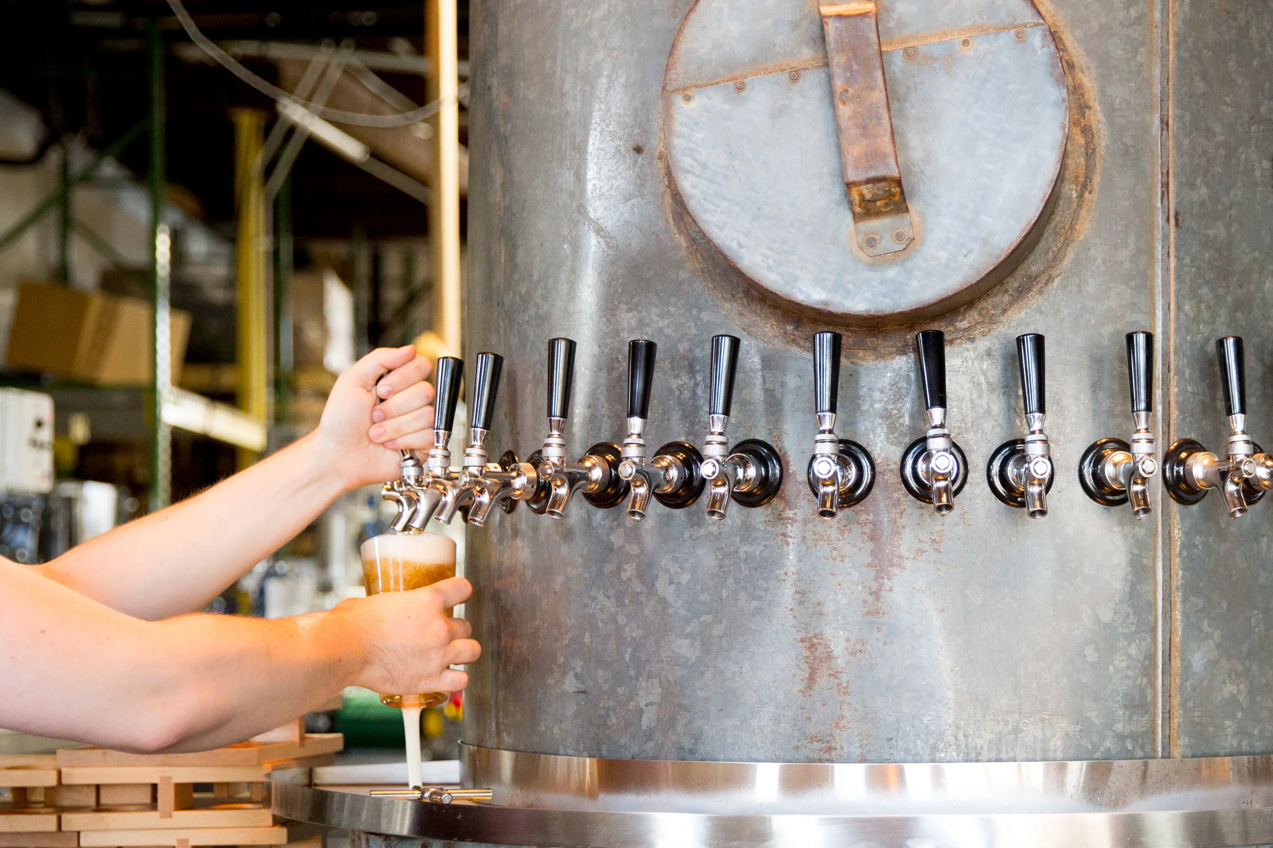 Ponysaurus Brewing Co..jpg