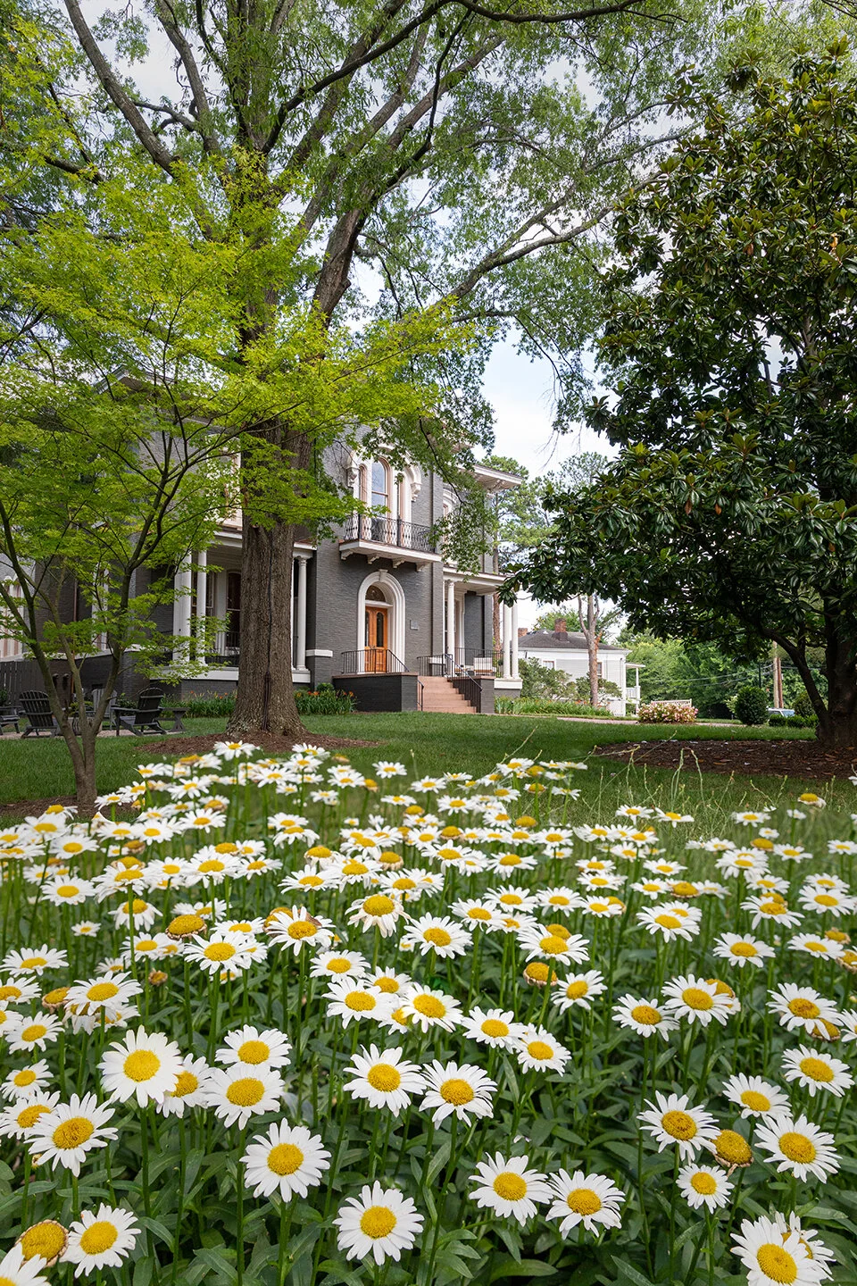 Heights House Hotel in Raleigh opens to guests in August — Triangle ...