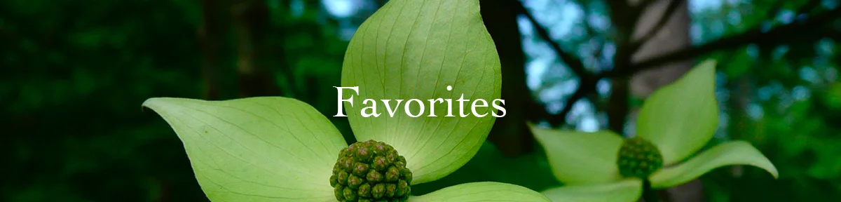 PageHeaders-Favorites.jpg