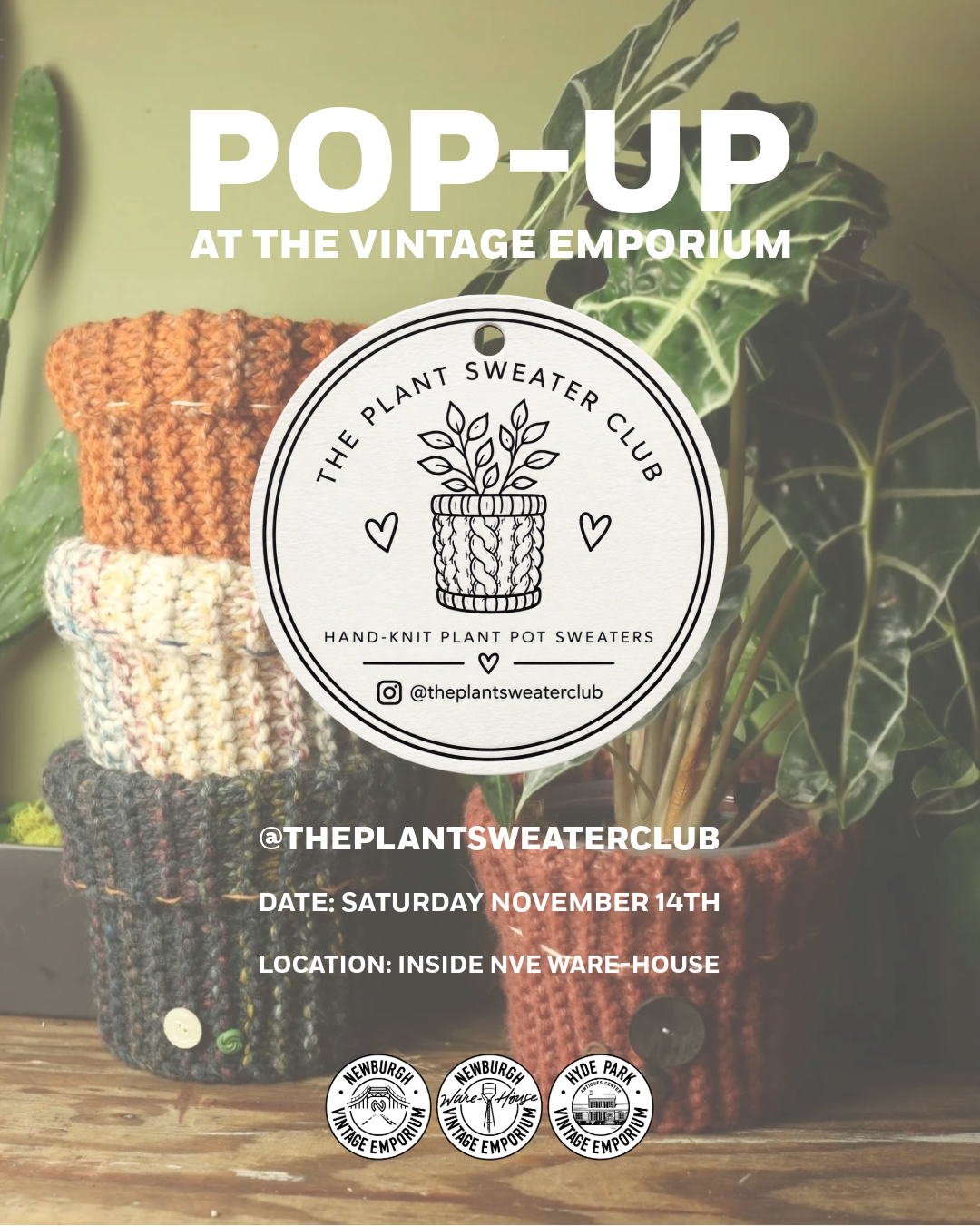 the plant sweater club pop-up