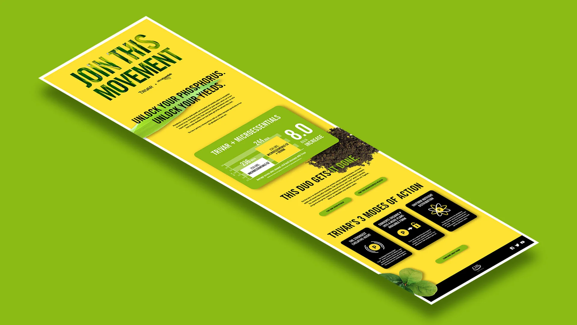 isometric-website.jpg