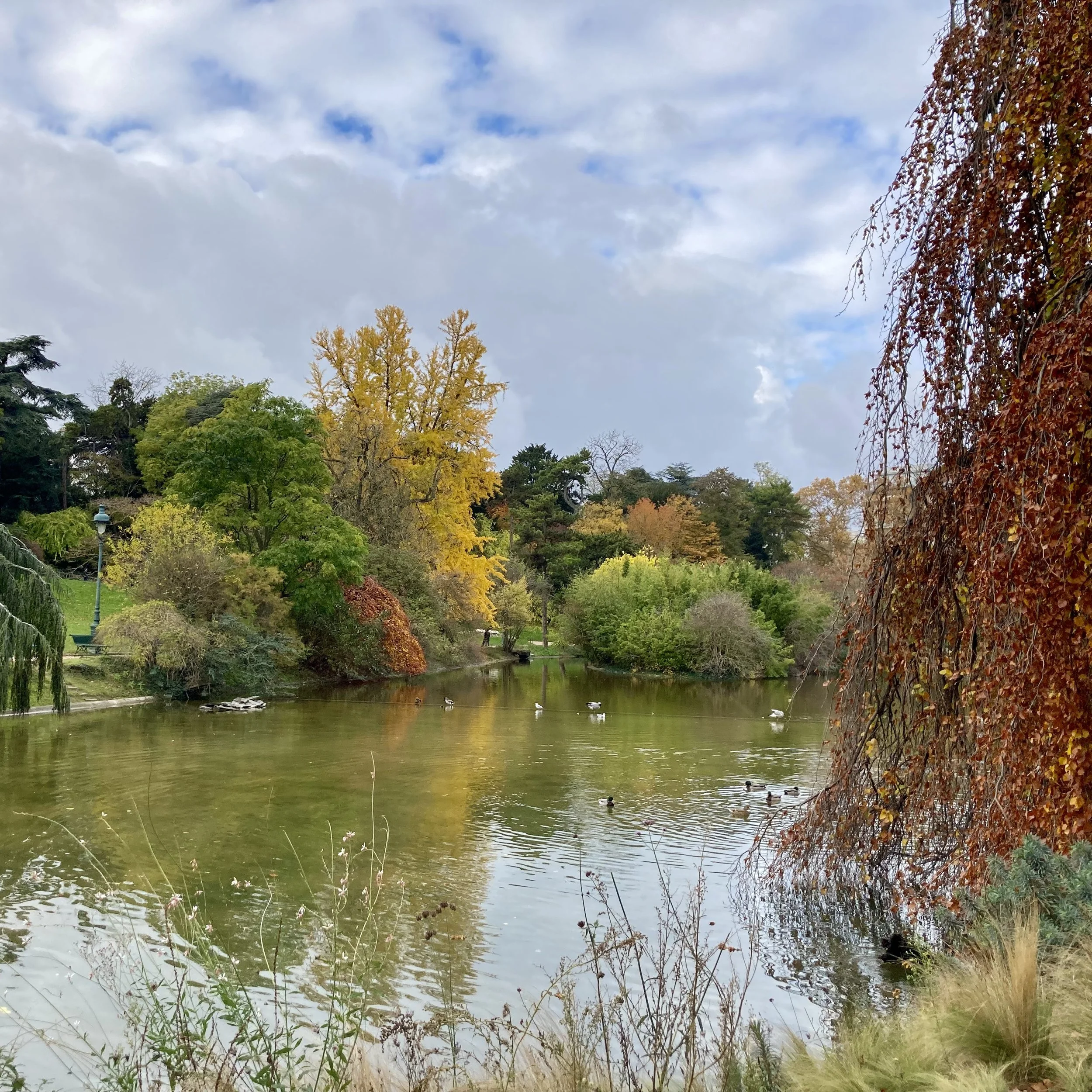 Segment 6: Three Anecdotes