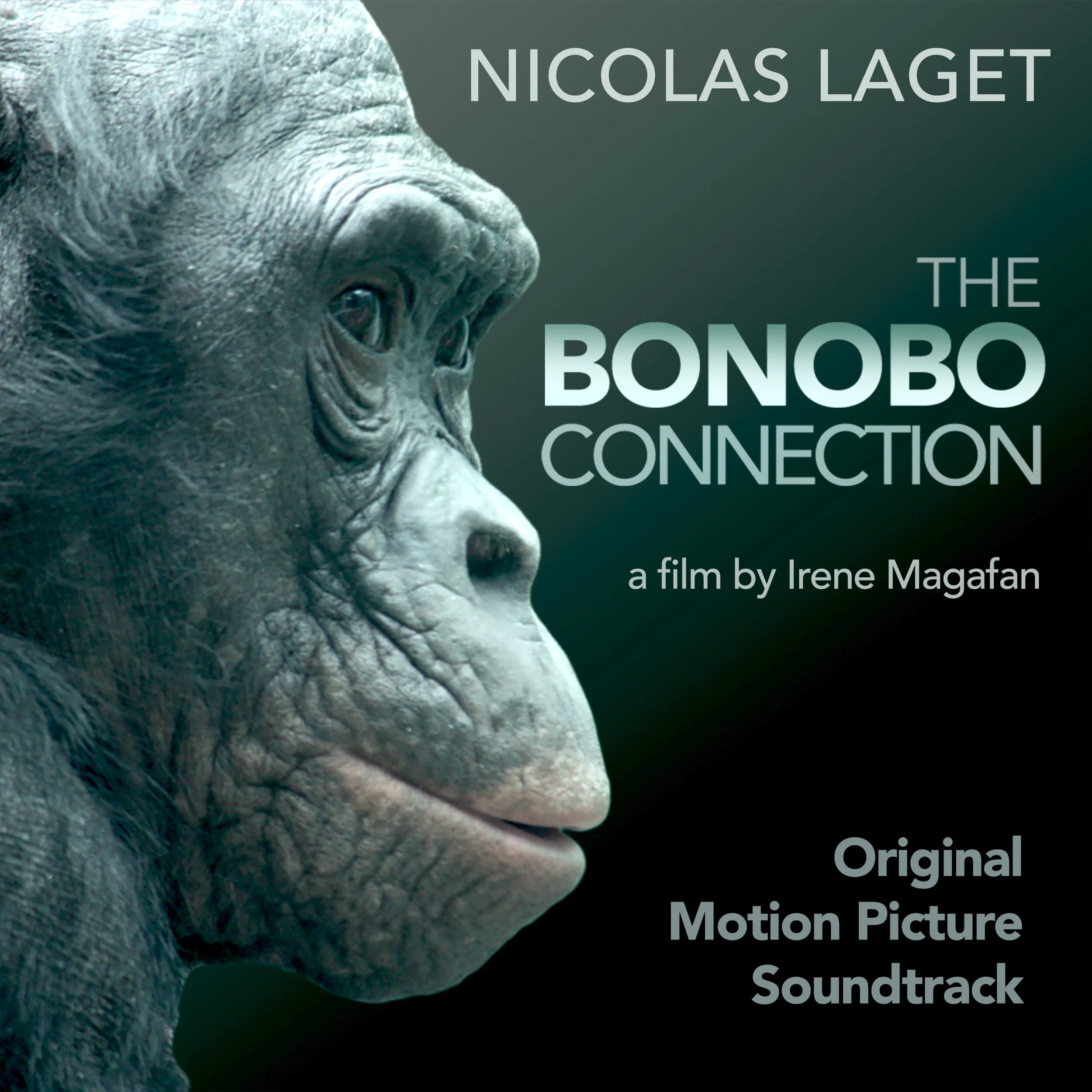 The Bonobo Connection - Nico Artwork 2.jpg