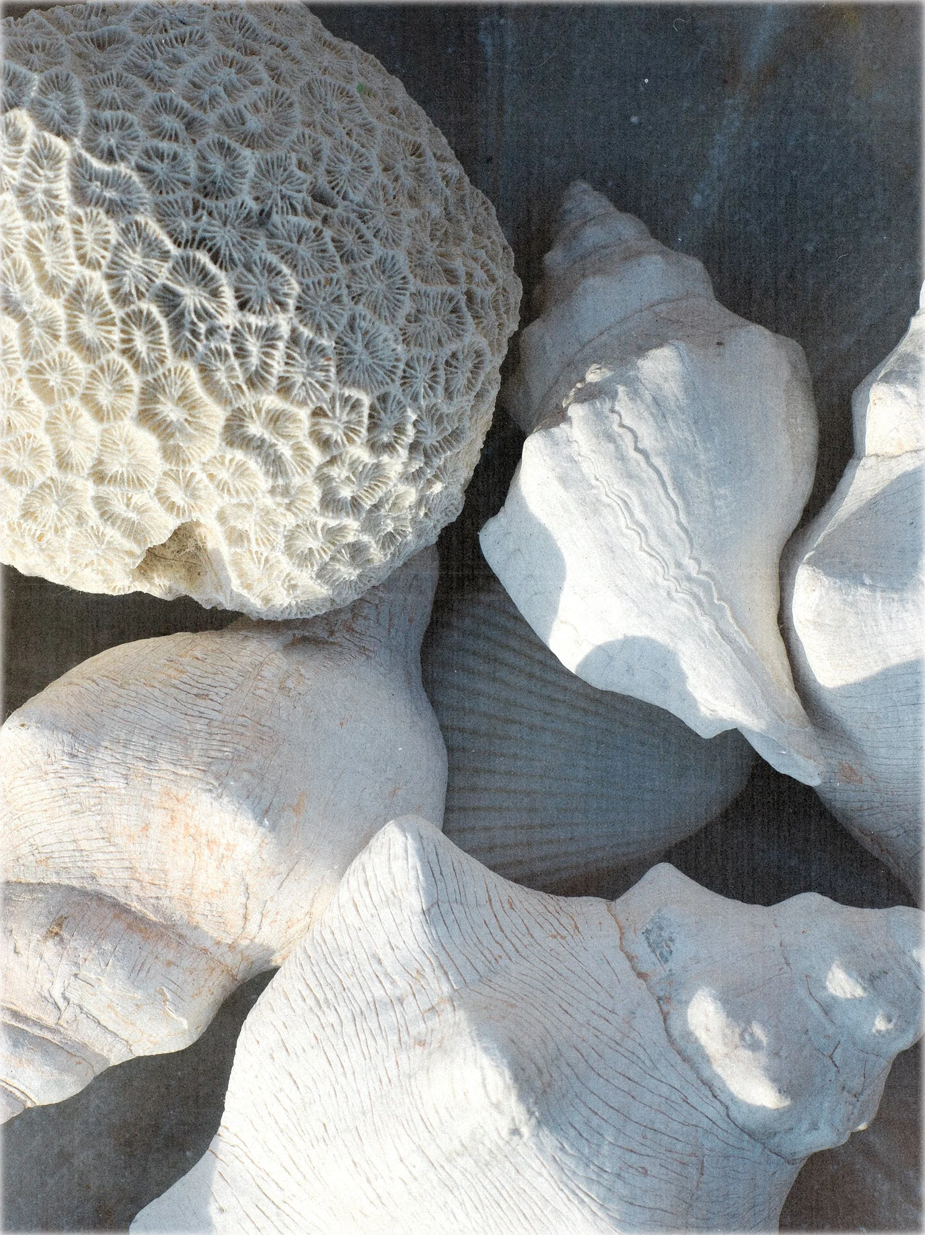 B0027187-Lowres.jpg
