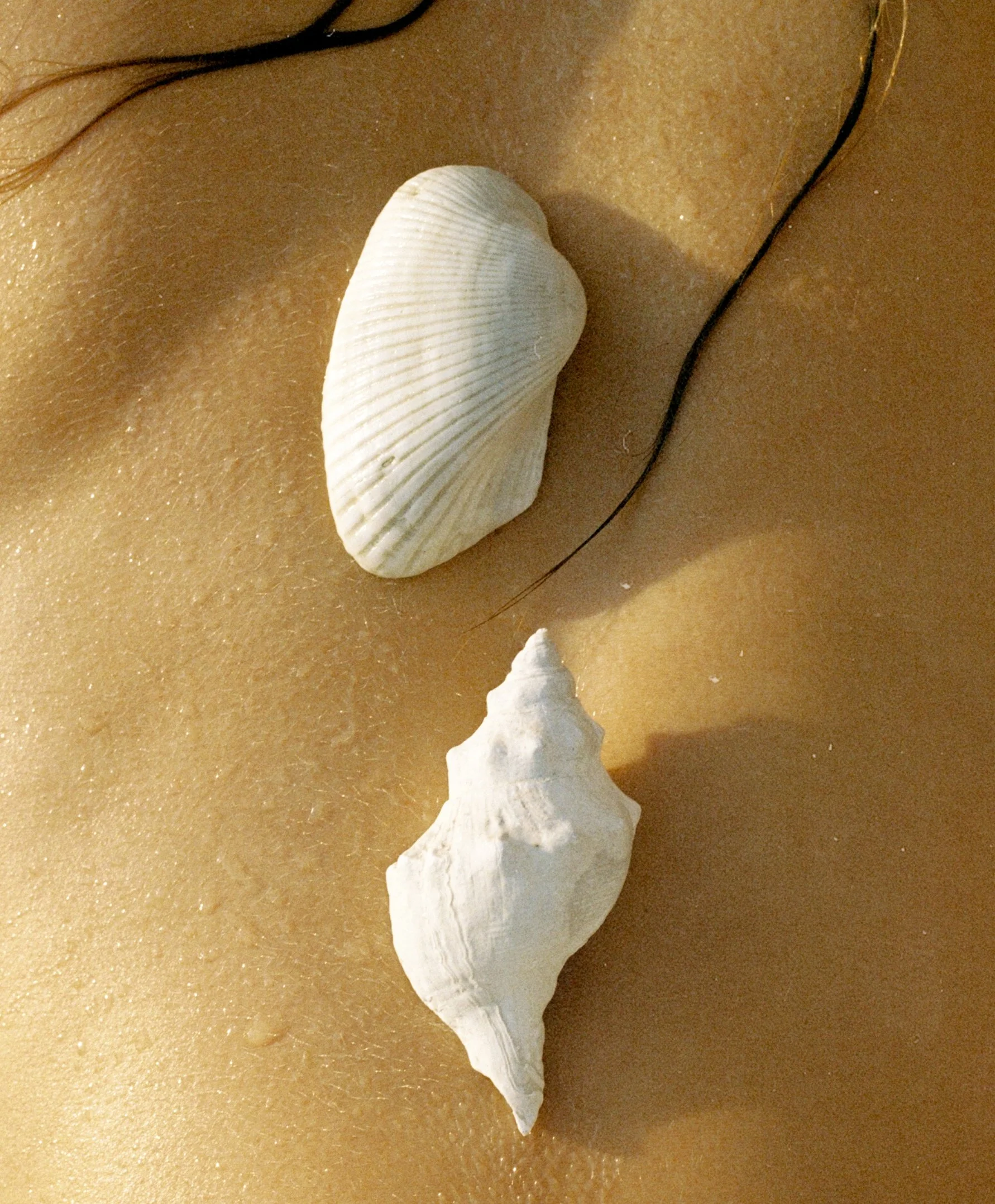 R1-09224-0005.jpg