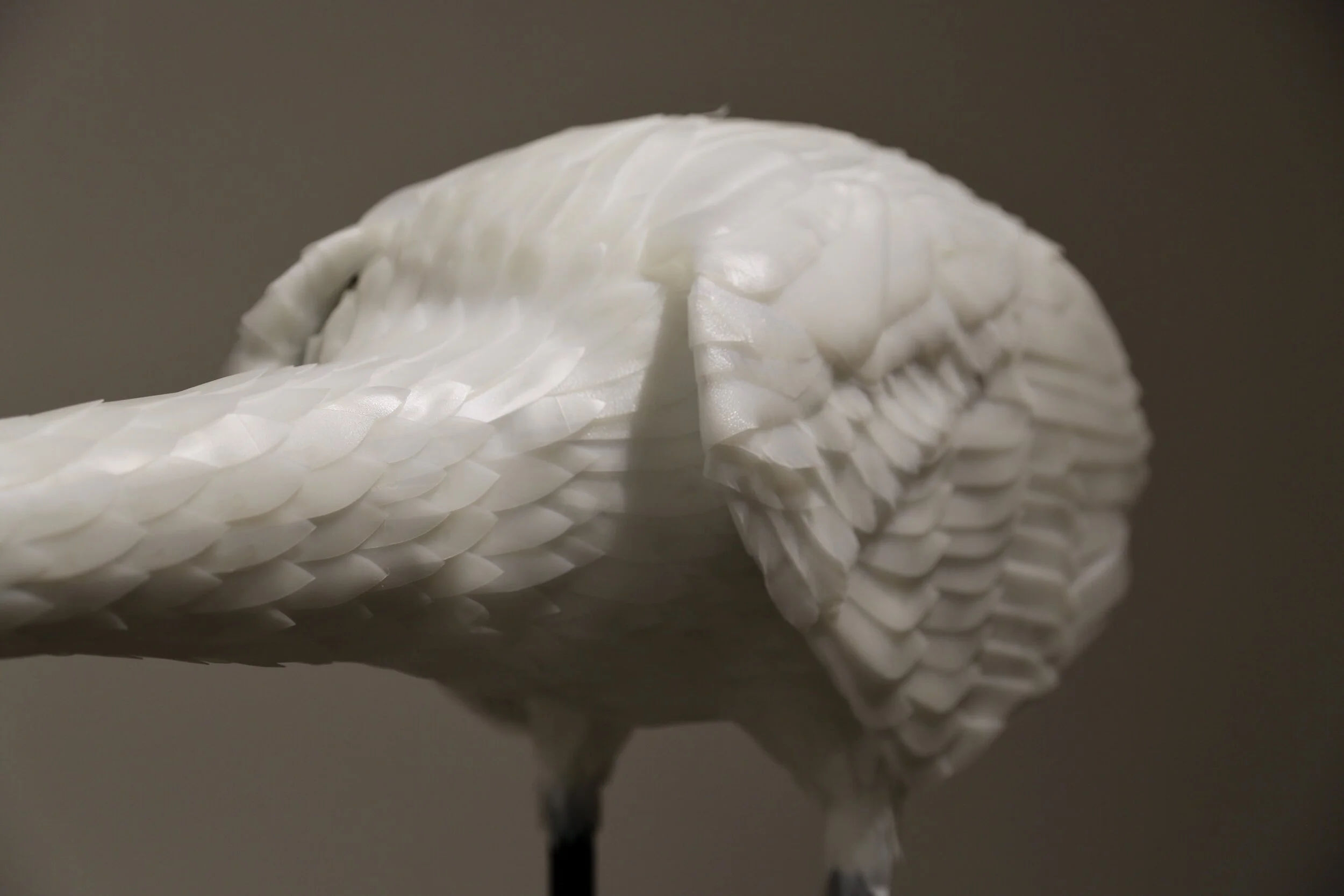  Forty-five pounds of clear plastic produce packaging totaling a year’s worth of personal consumption, plastic milk jugs, black plastic, and four small boulders. 