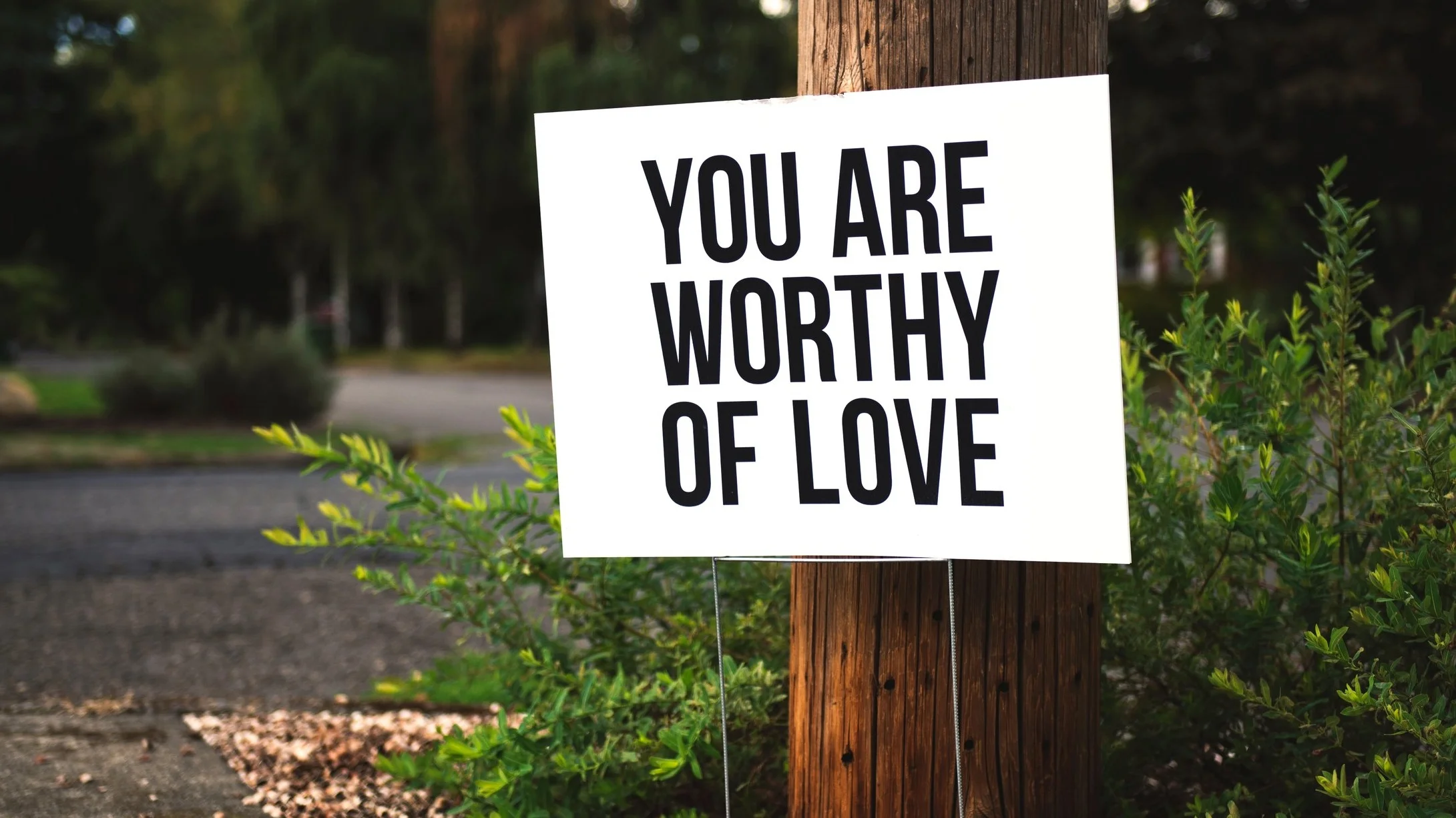 tim-mossholder-414902-unsplash (1).jpg