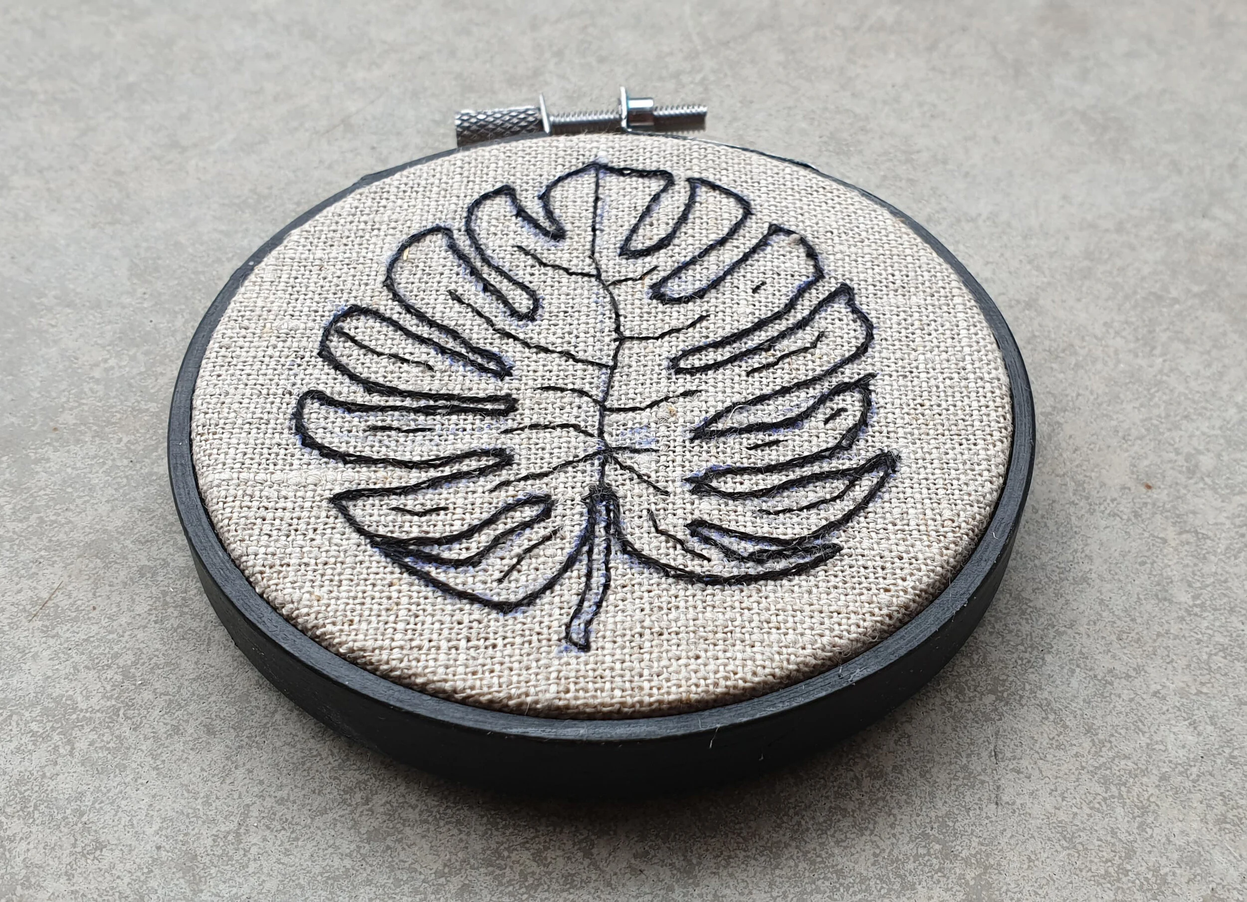 Monstera deliciosa02.jpg