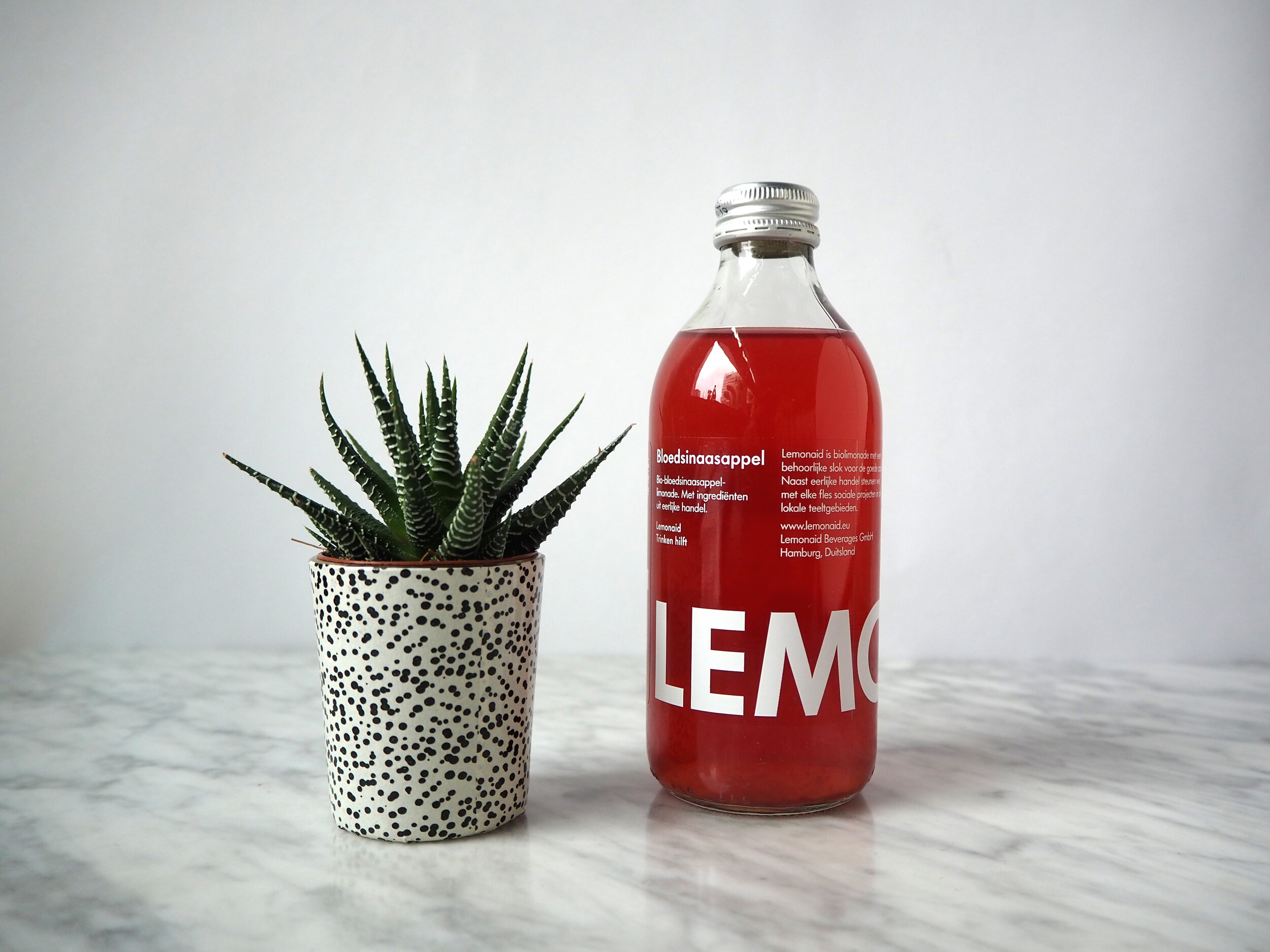 lemonade04.jpg