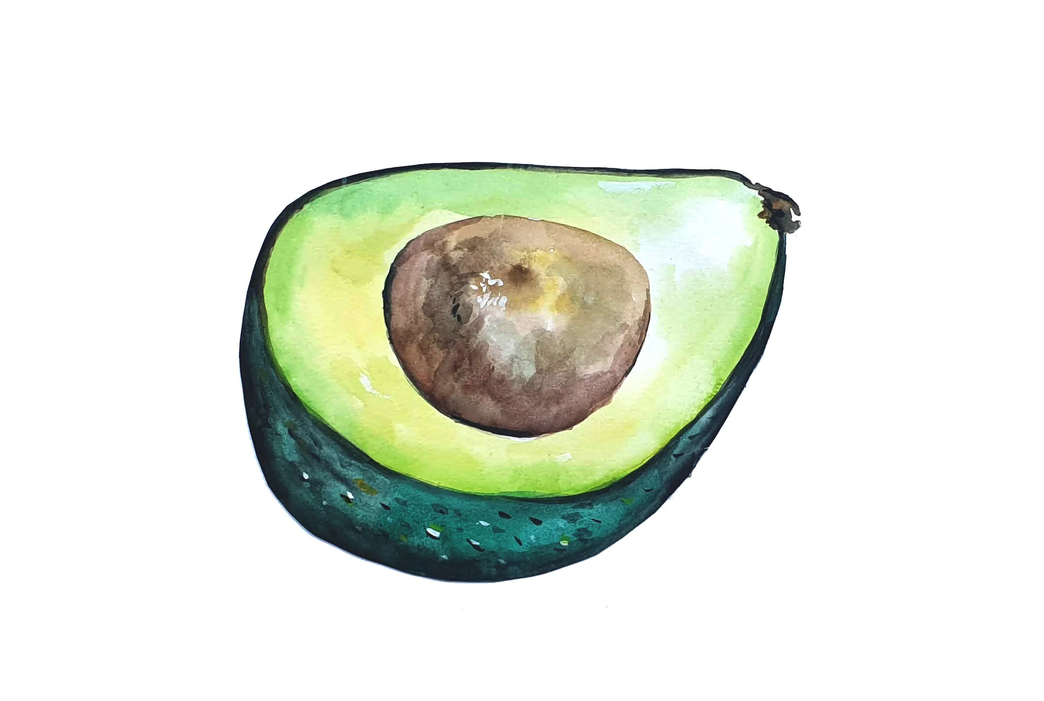 avocado.jpg
