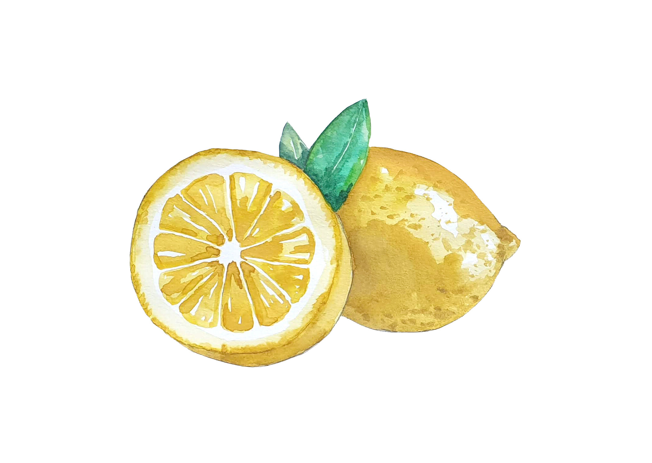 lemon02.jpg