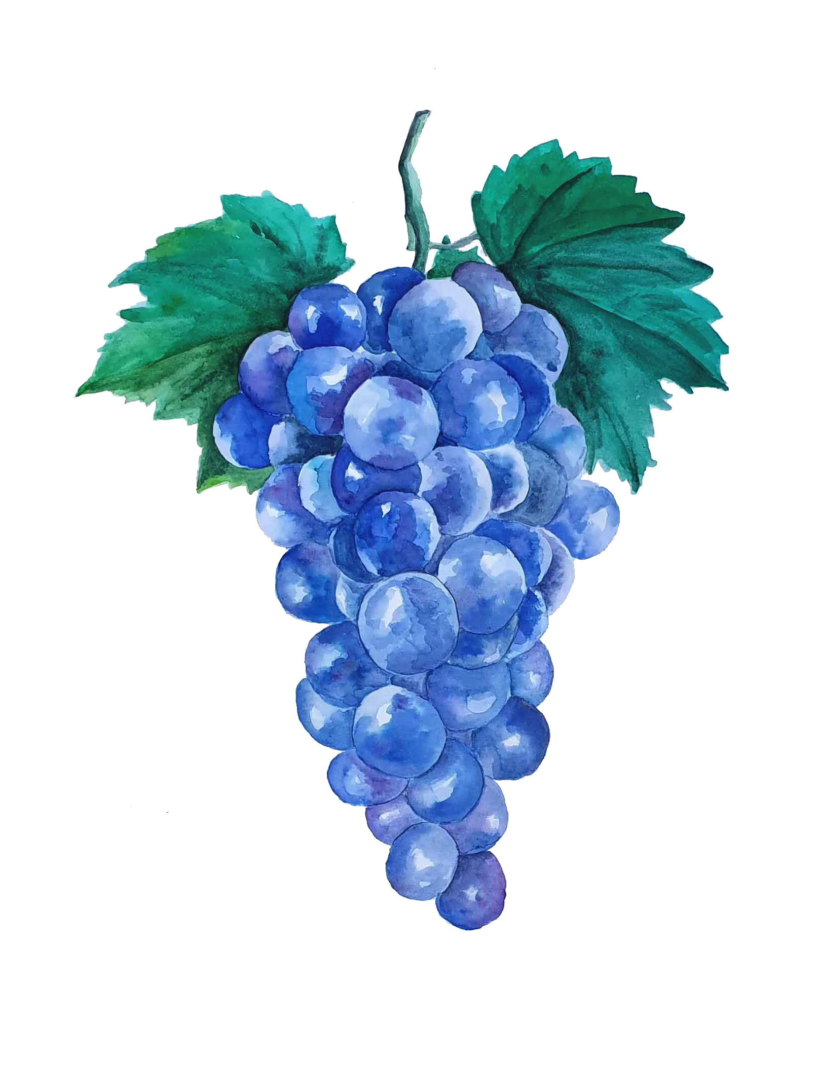 grape02.jpg