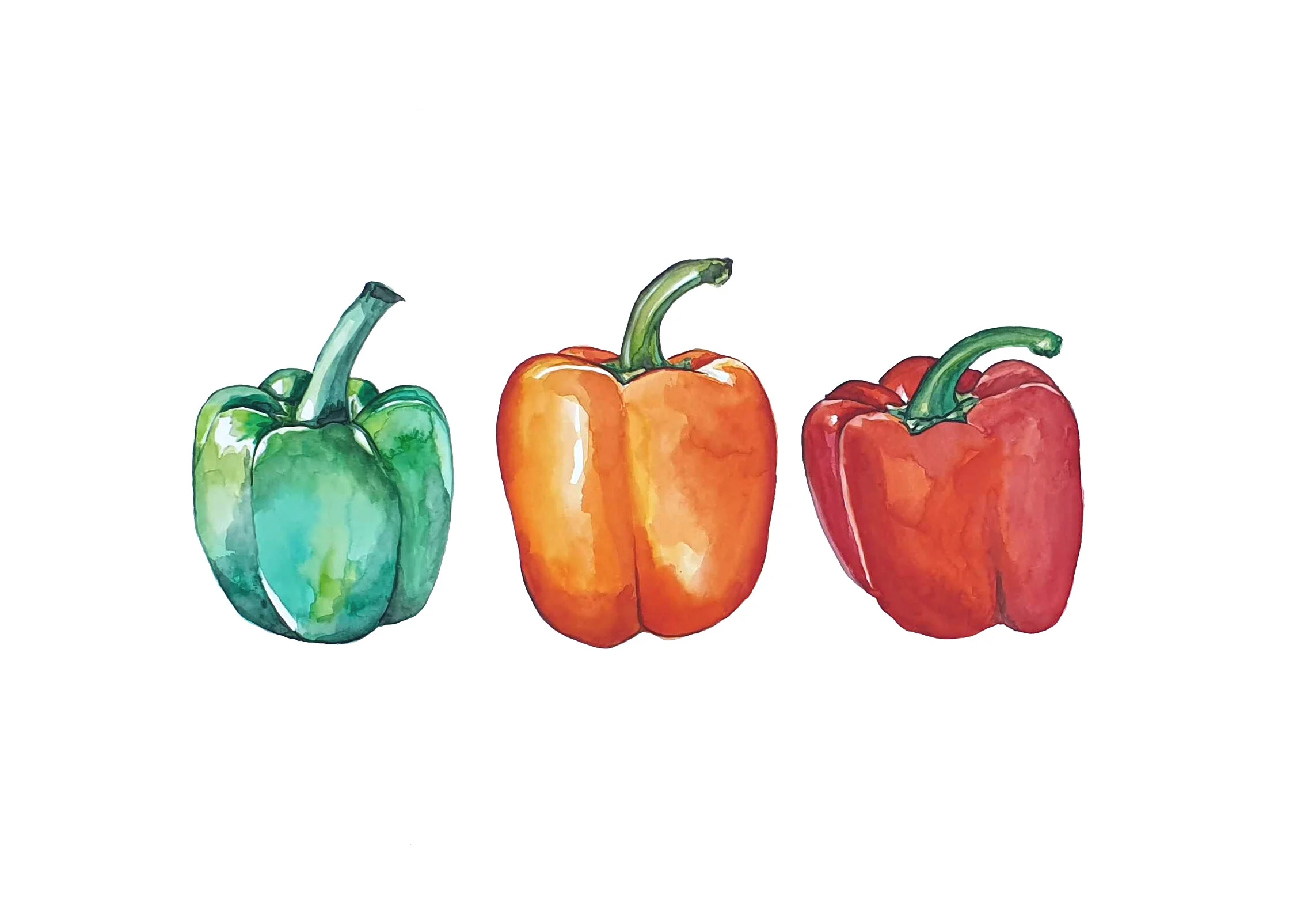 paprika02.jpg