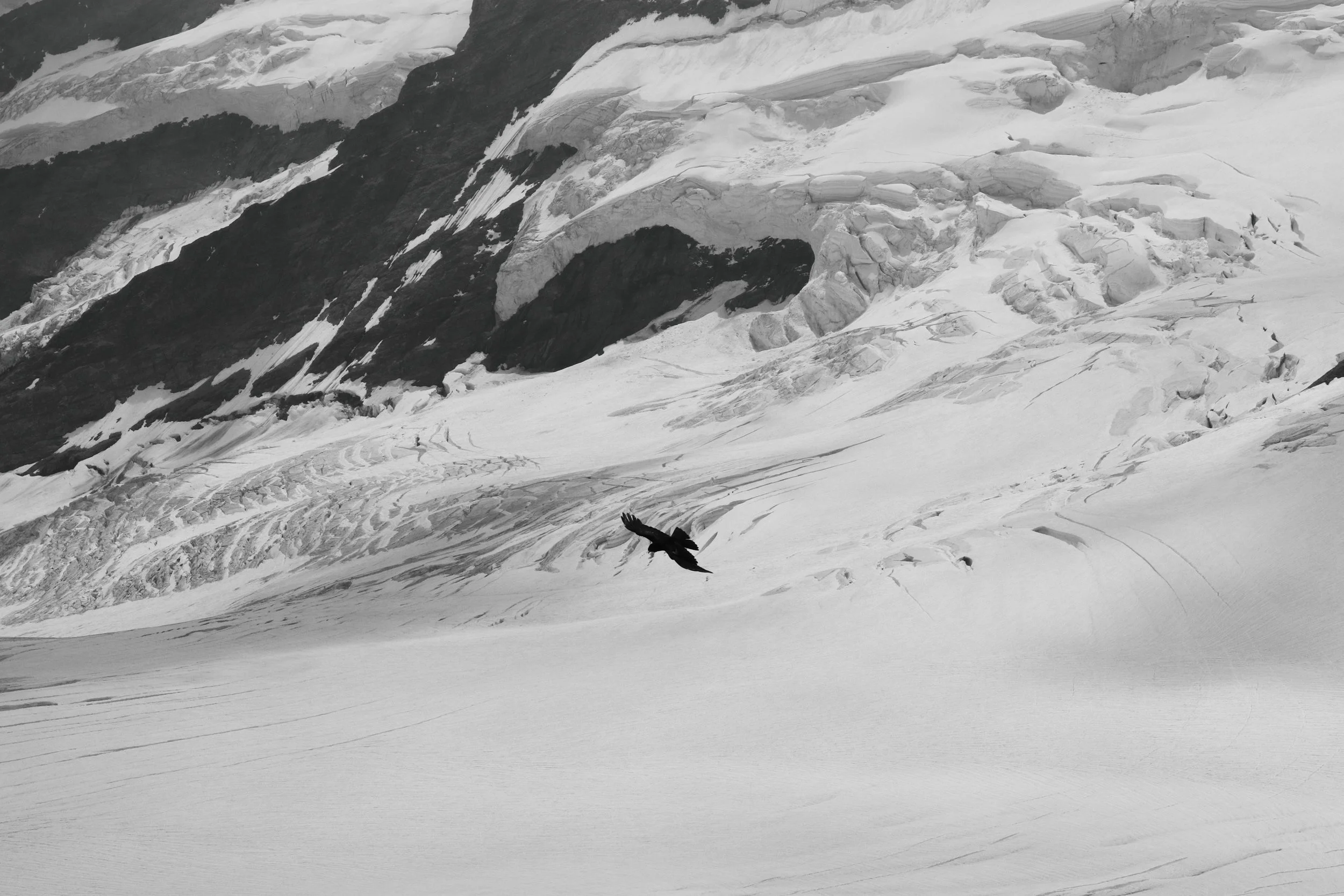 Are you afraid of being alone? 