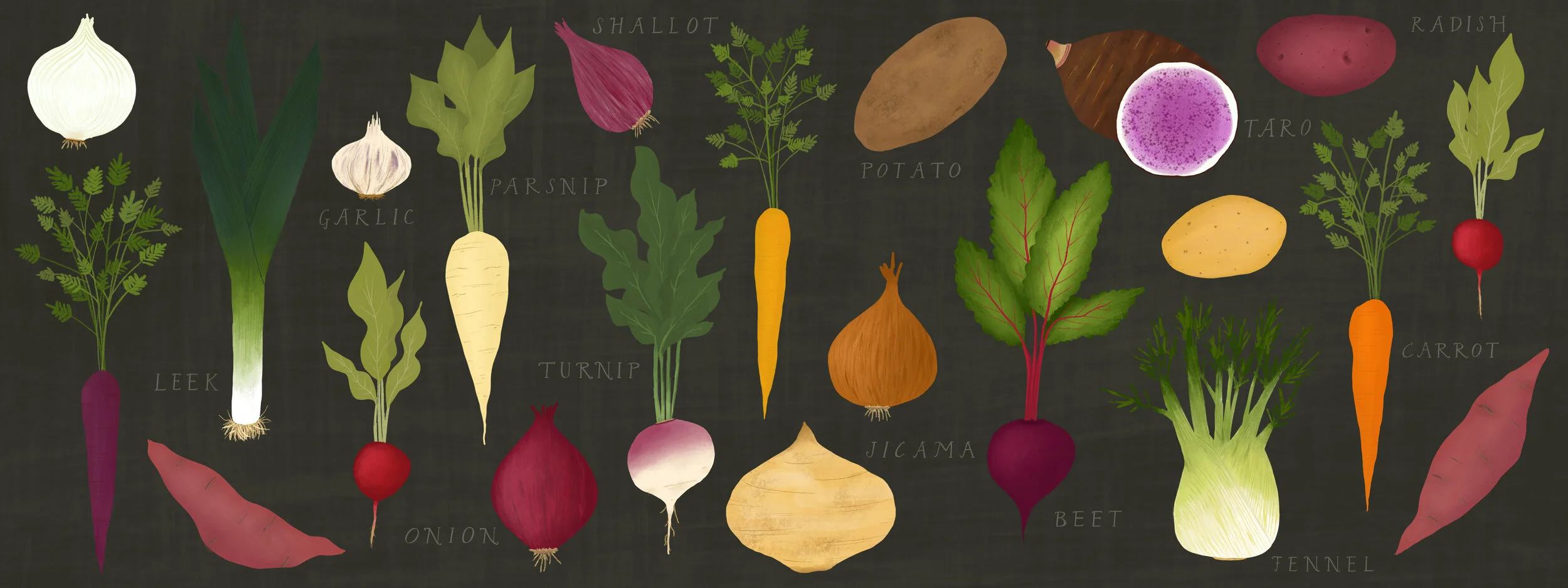 RootVeg.jpg