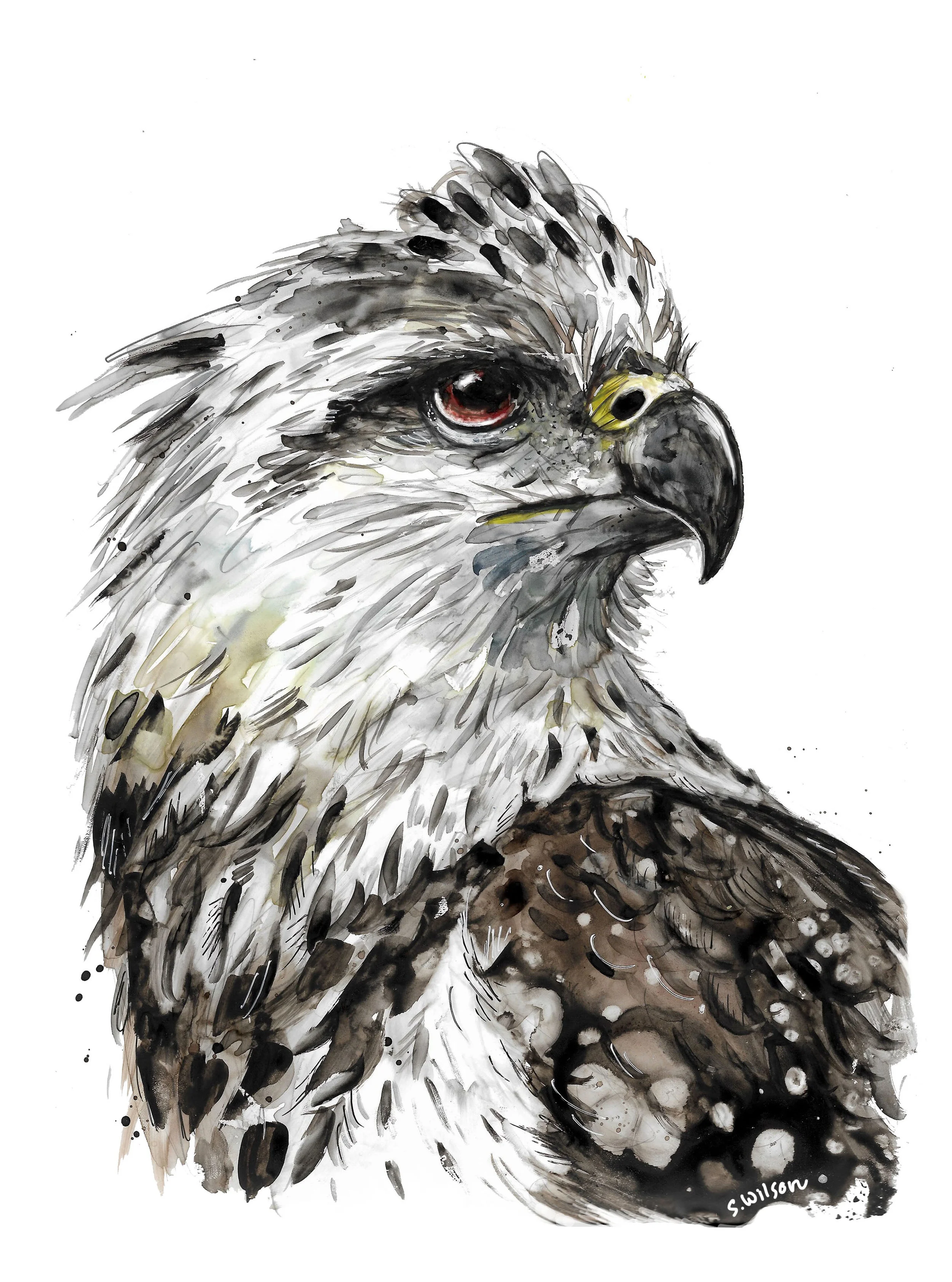 shop — Suzy Wilson Art